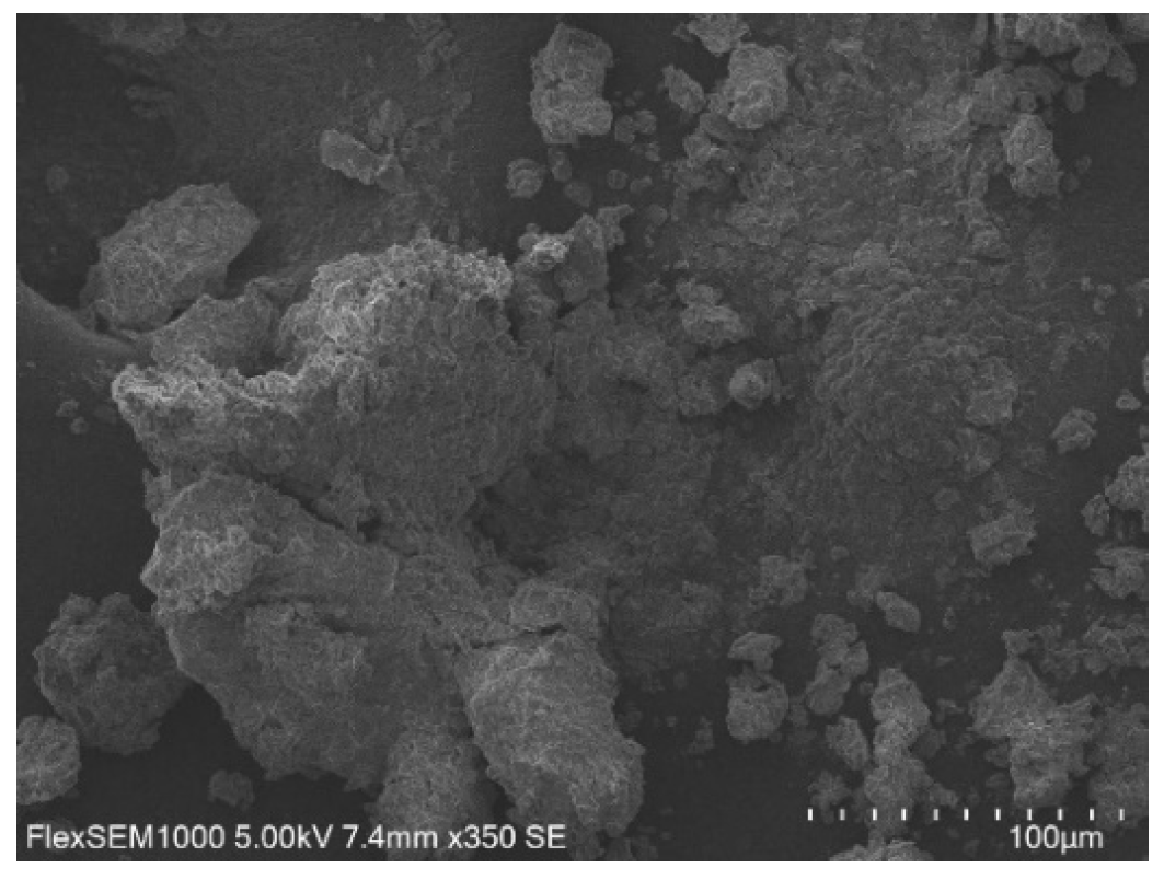 Chemengineering 09 00092 g011