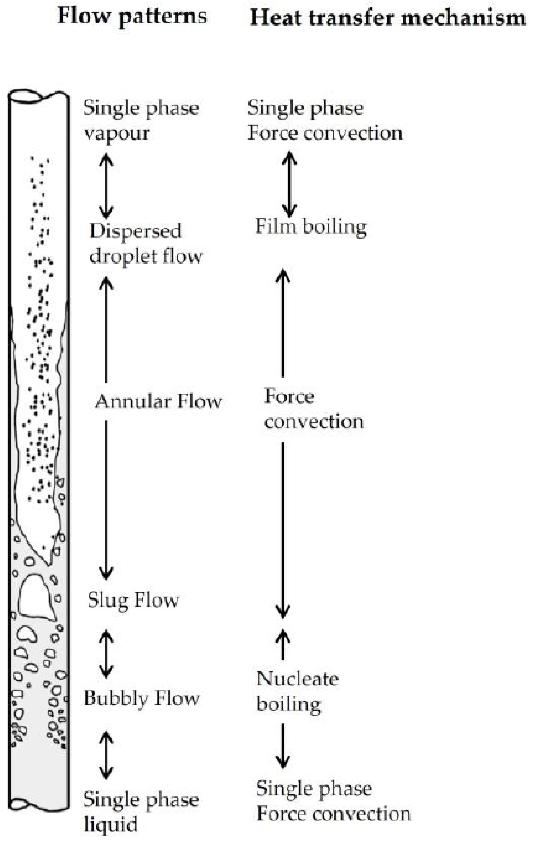 Chemengineering 09 00131 g012