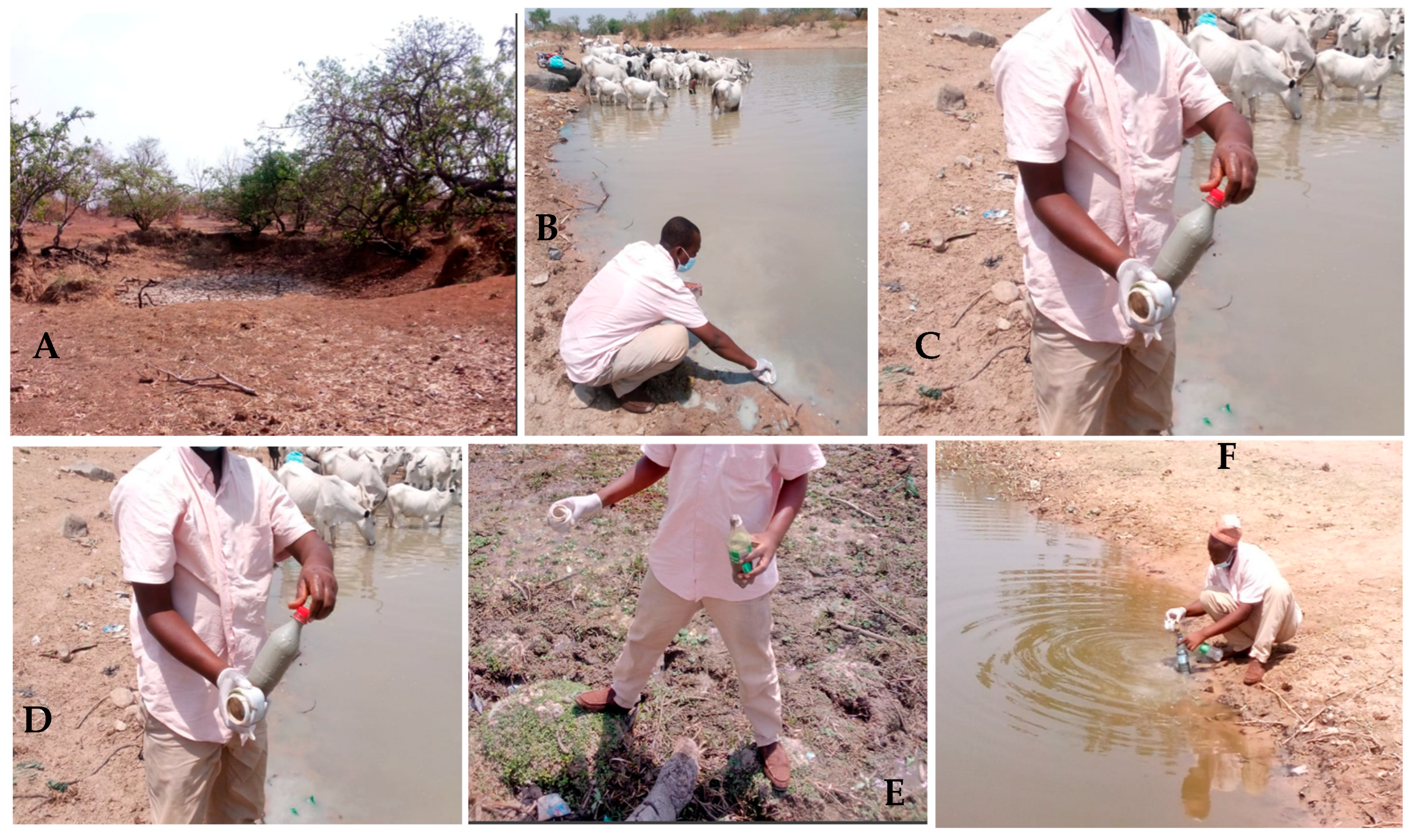 Chemengineering 09 00137 g002 Chemengineering 09 00137 g002