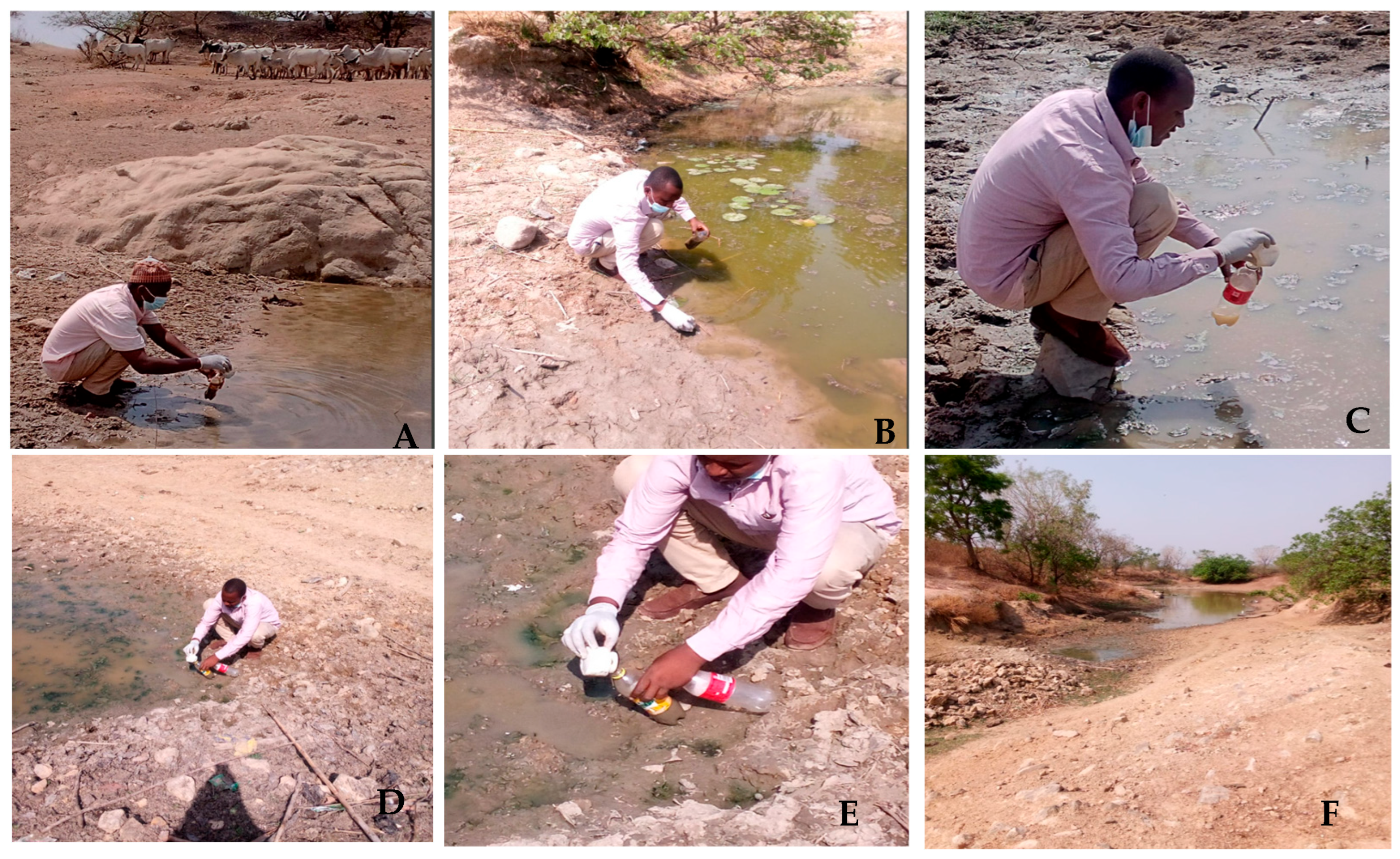 Chemengineering 09 00137 g003 Chemengineering 09 00137 g003