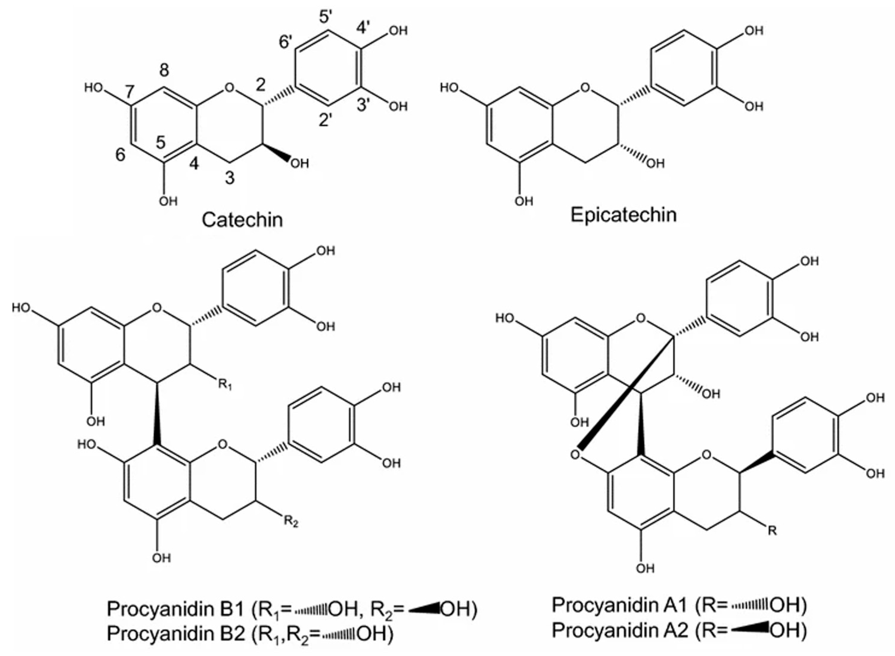 Chemengineering 10 00002 g001