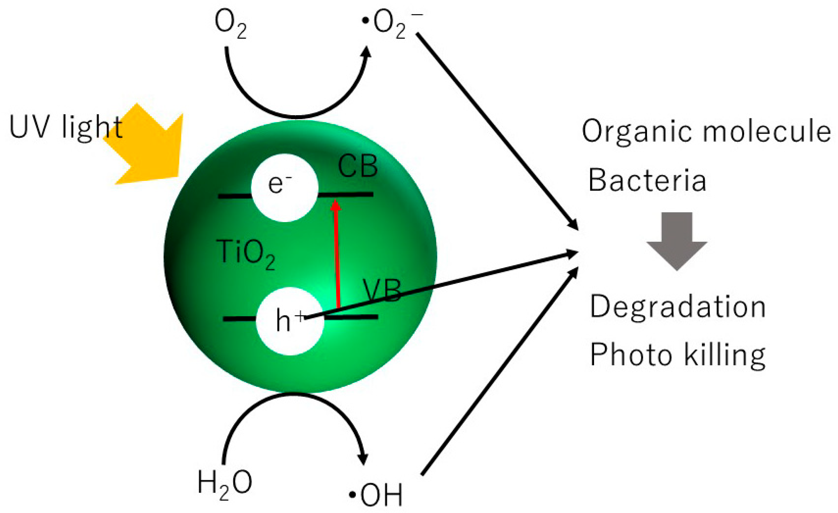 Chemengineering 10 00003 g001 Chemengineering 10 00003 g001