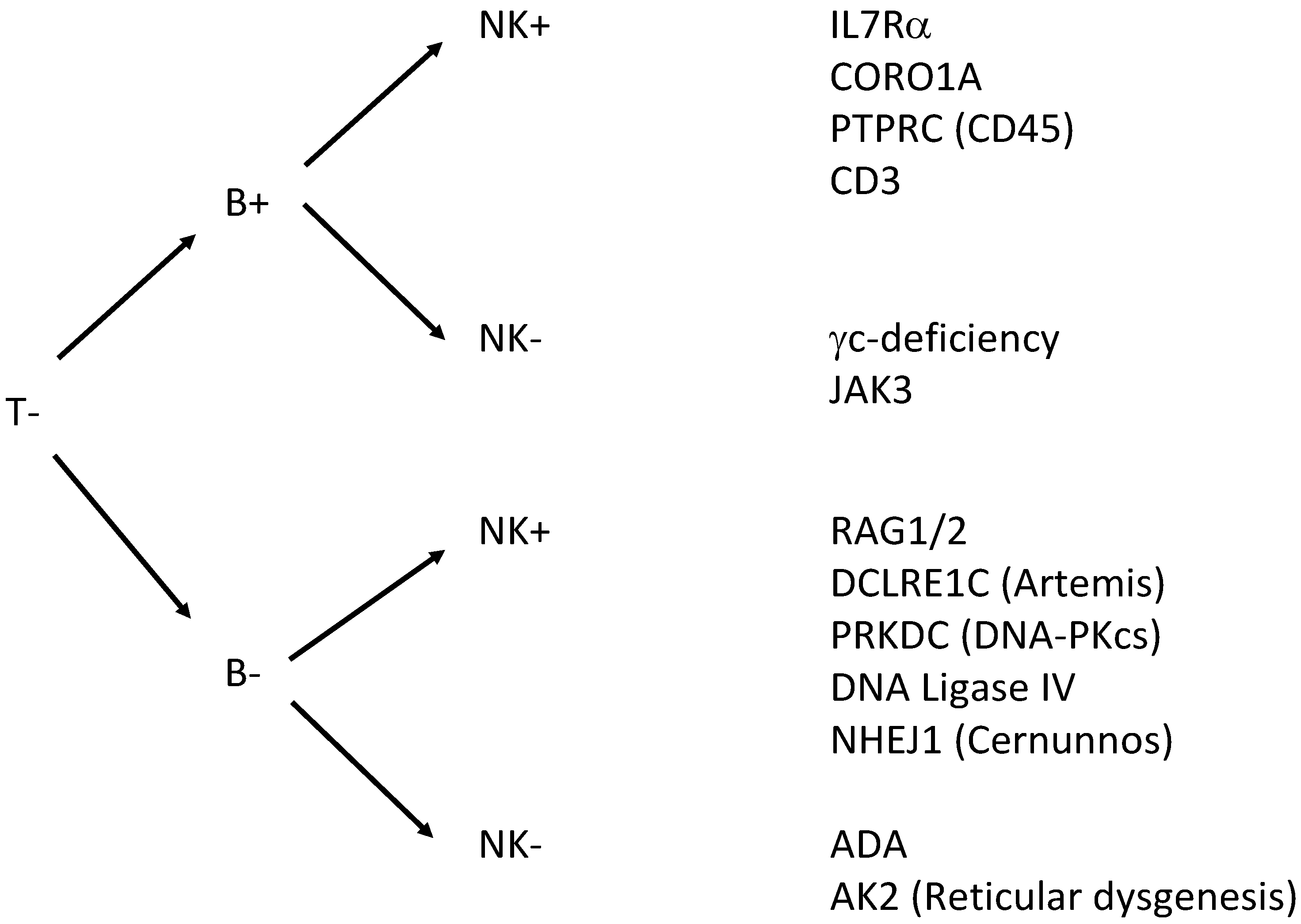 Neonatalscreening 01 00089 g001 1024
