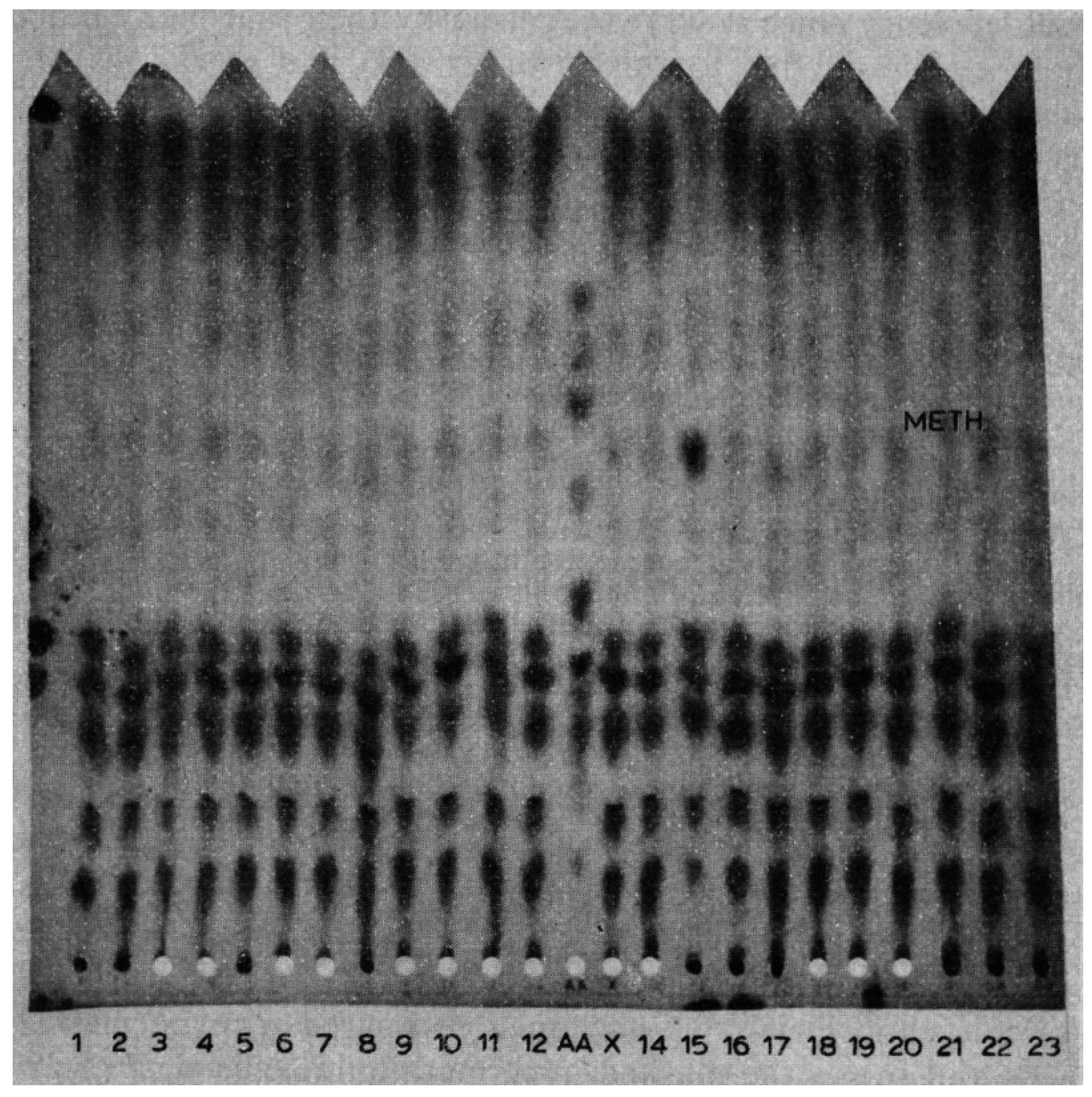 Neonatalscreening 02 00014 g001 550