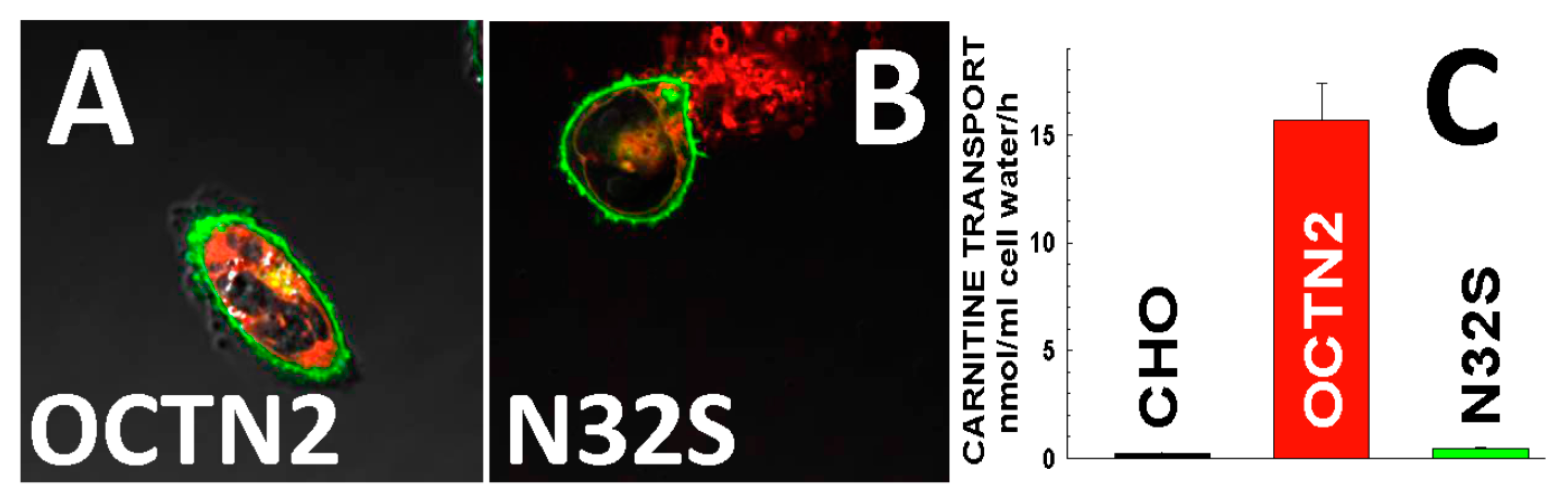 Neonatalscreening 03 00001 g002