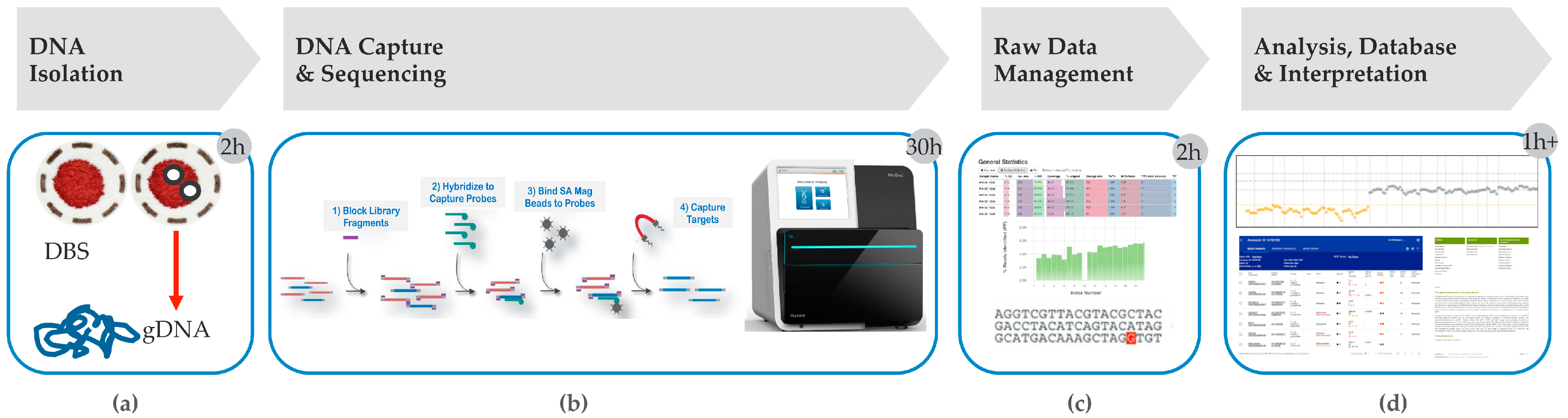 Ijns 06 00032 g001