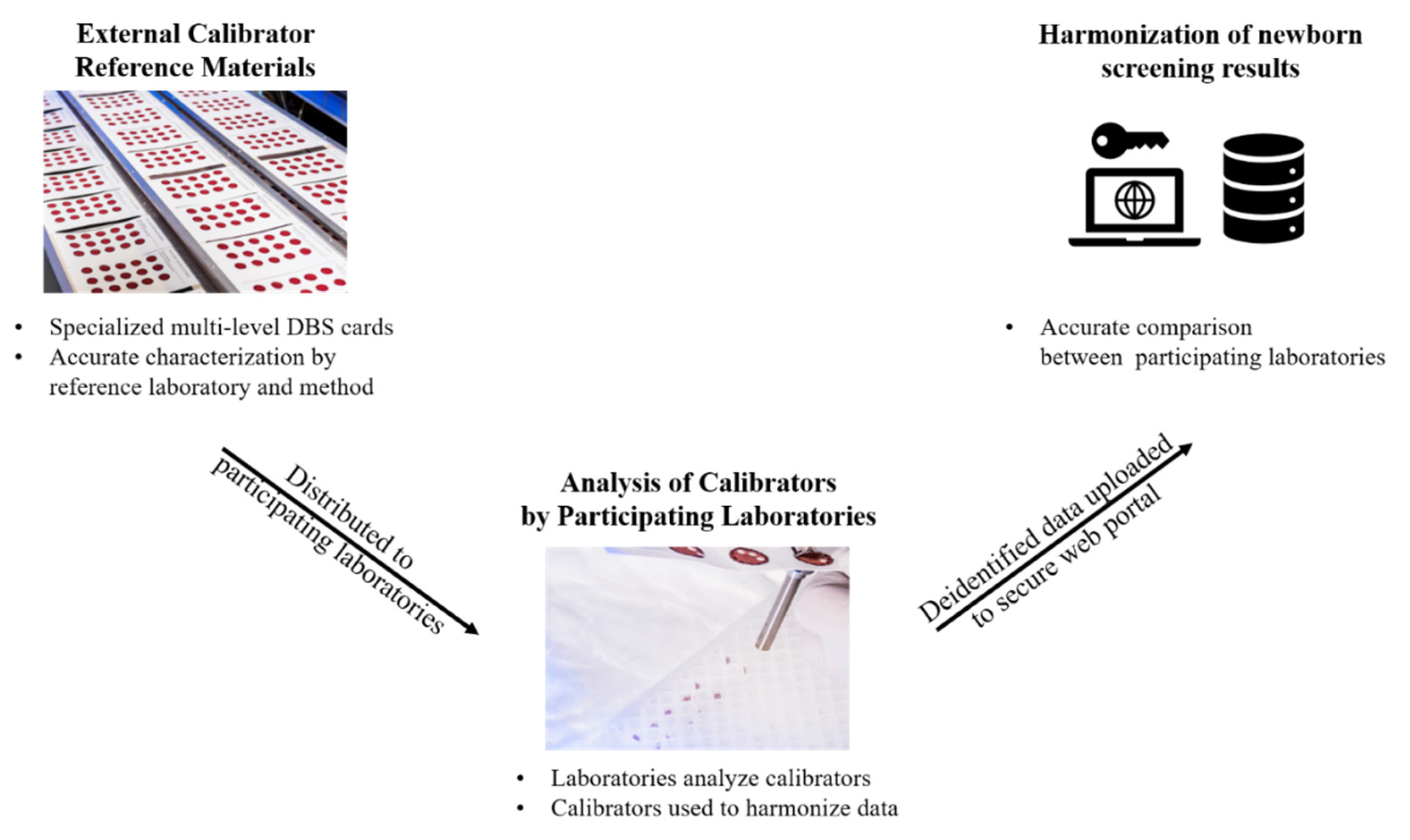 Ijns 06 00075 g005 Ijns 06 00075 g005