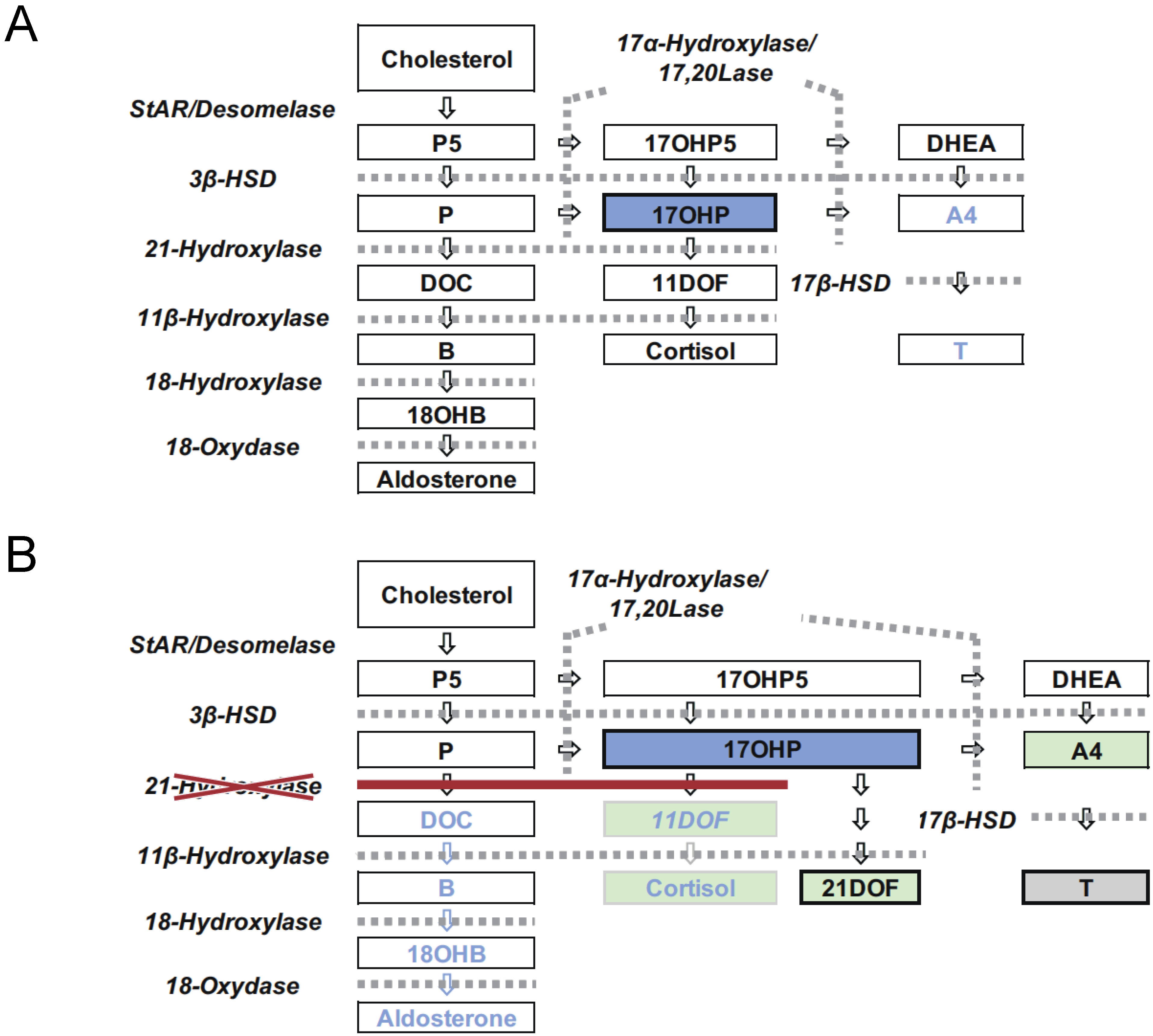 Ijns 07 00036 g001 Ijns 07 00036 g001