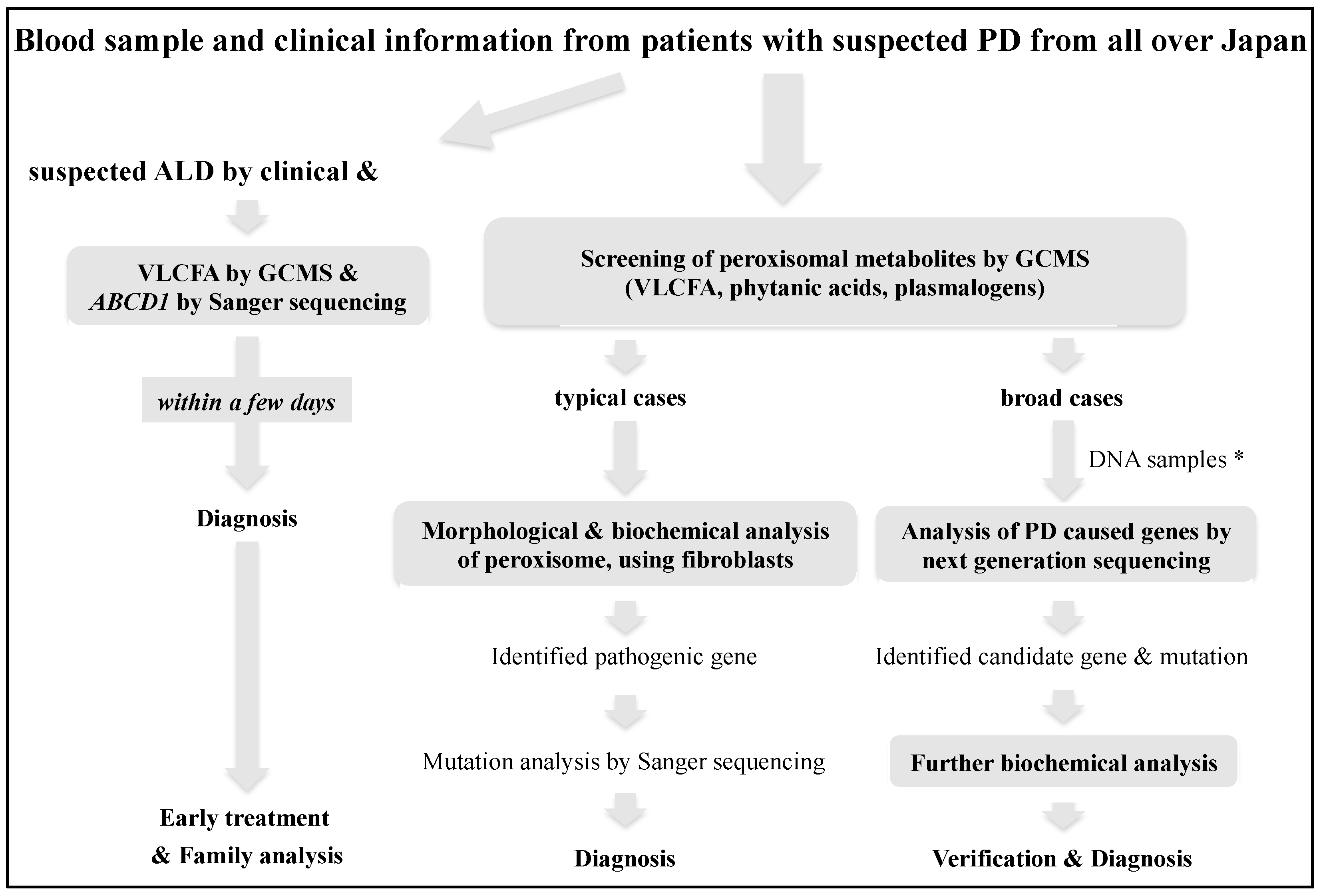 Ijns 07 00058 g001 550