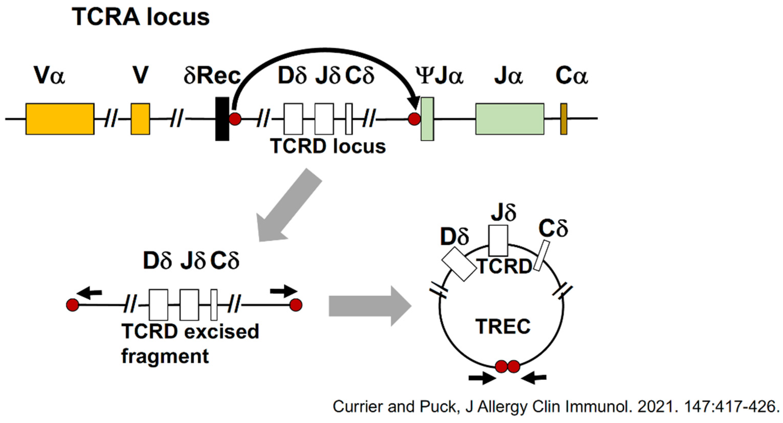 Ijns 07 00072 g004 550