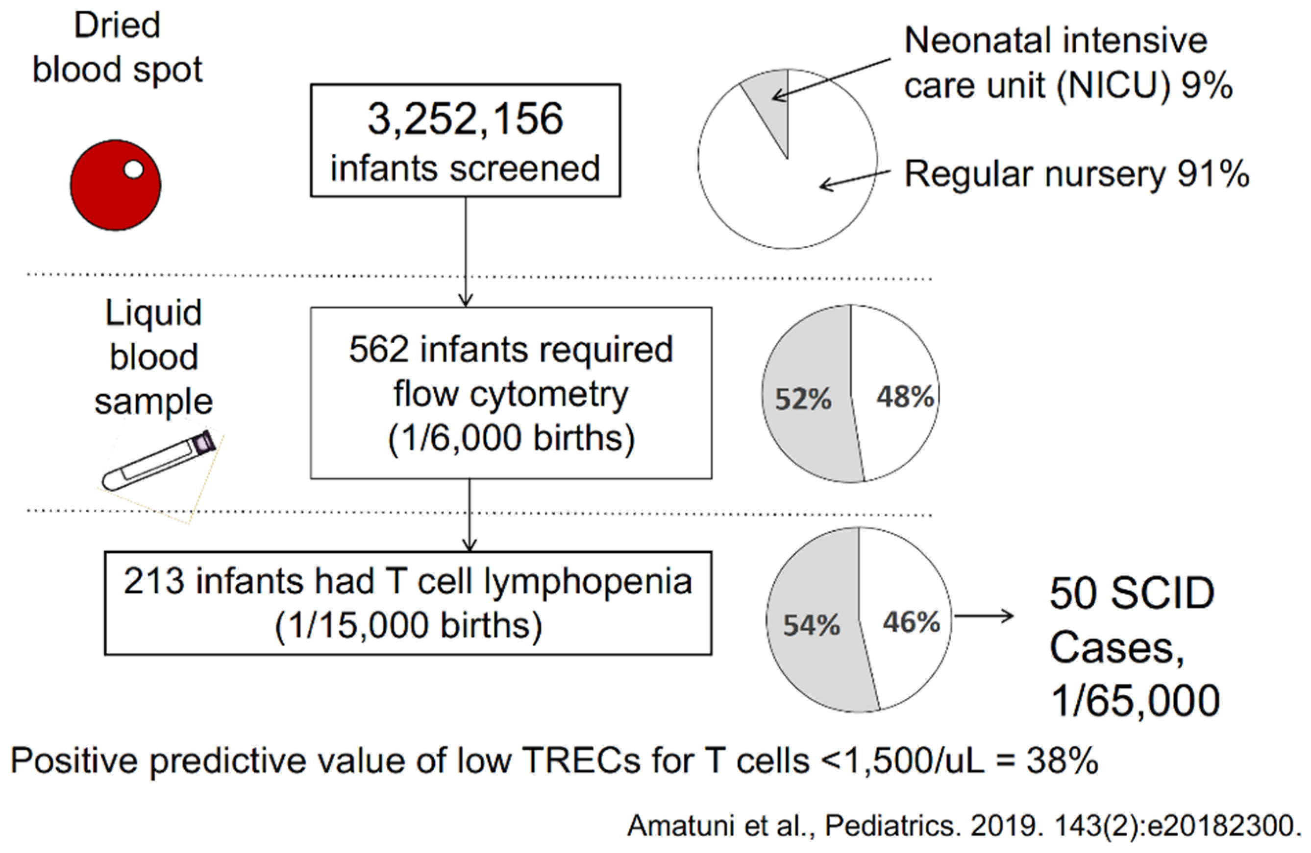 Ijns 07 00072 g008 550