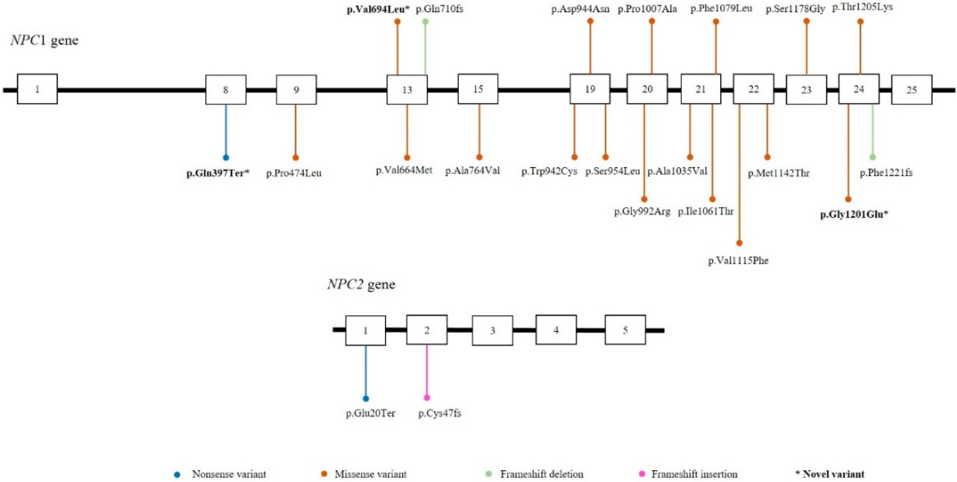 Rapid Diagnosis of 83 Patients with Niemann Pick Type C Disease and Related  Cholesterol Transport Disorders by Cholestantriol Screening - eBioMedicine