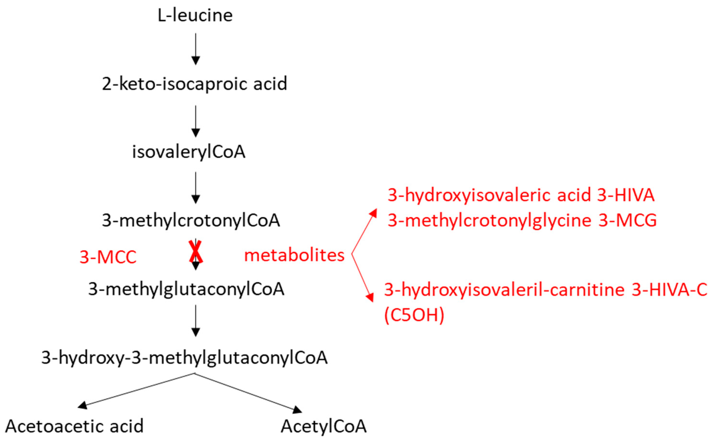 Ijns 11 00115 g001 Ijns 11 00115 g001