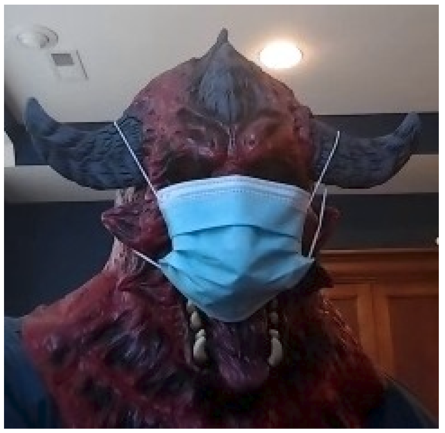 Iot 02 00035 g006 550