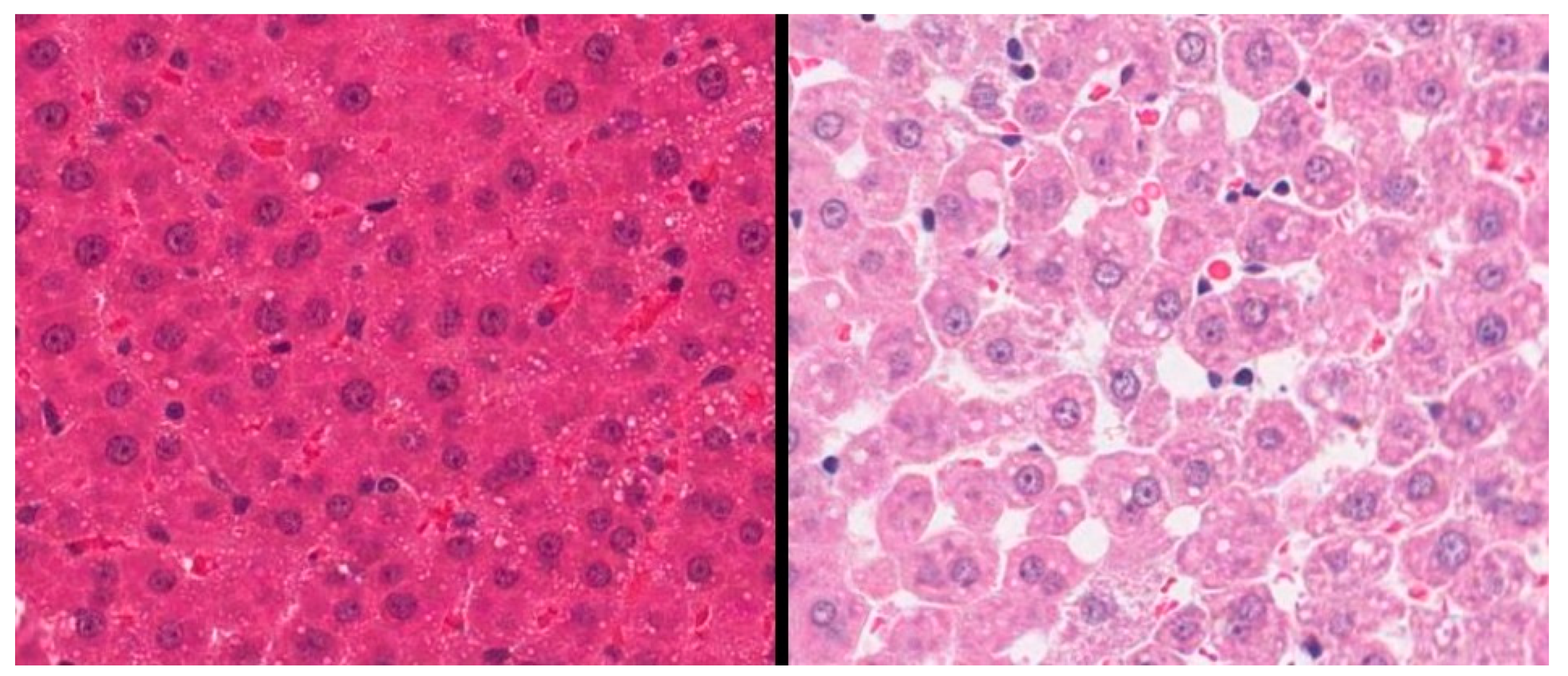 J 03 00006 g001 J 03 00006 g001