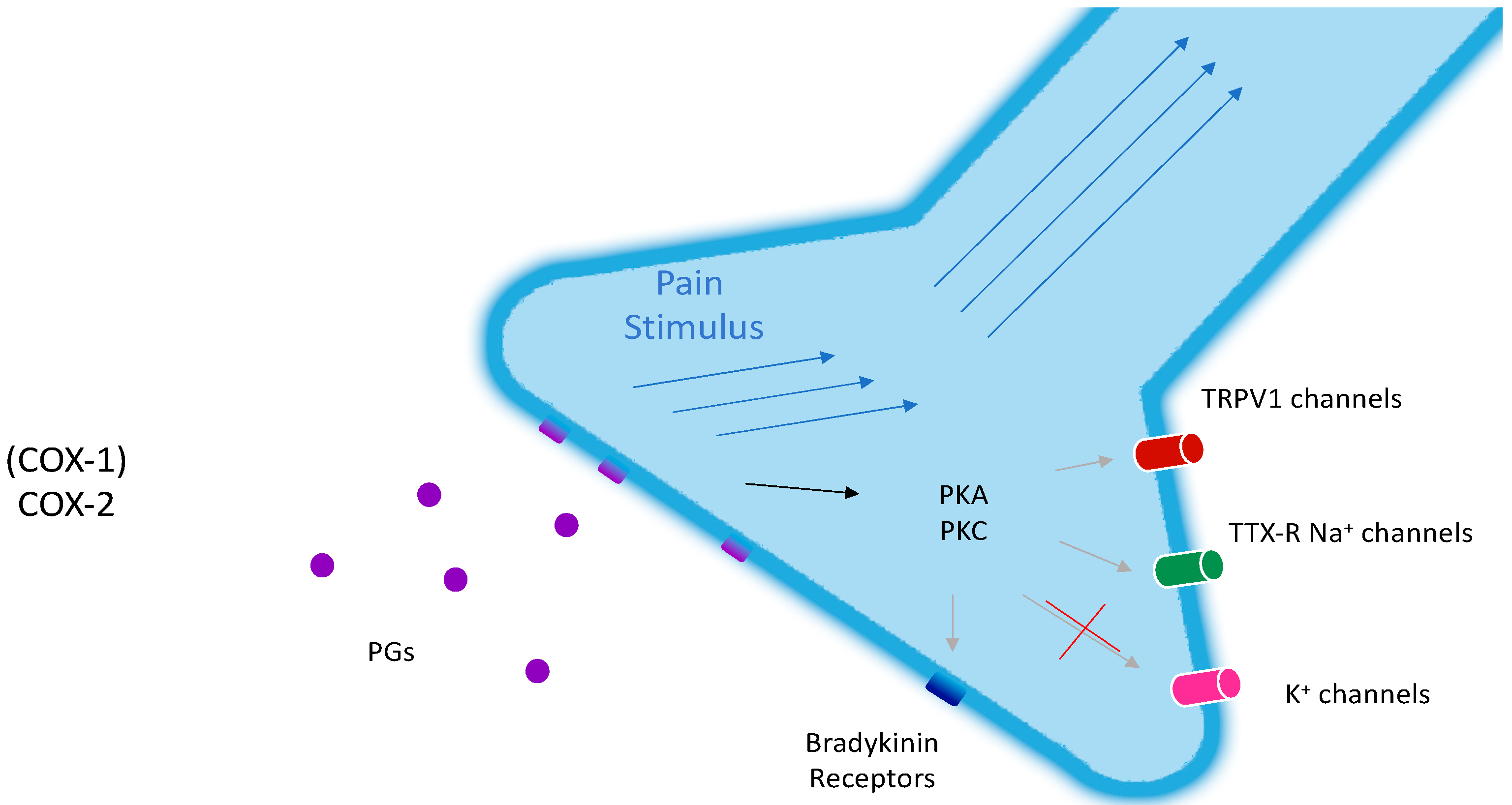 J 03 00016 g001 J 03 00016 g001