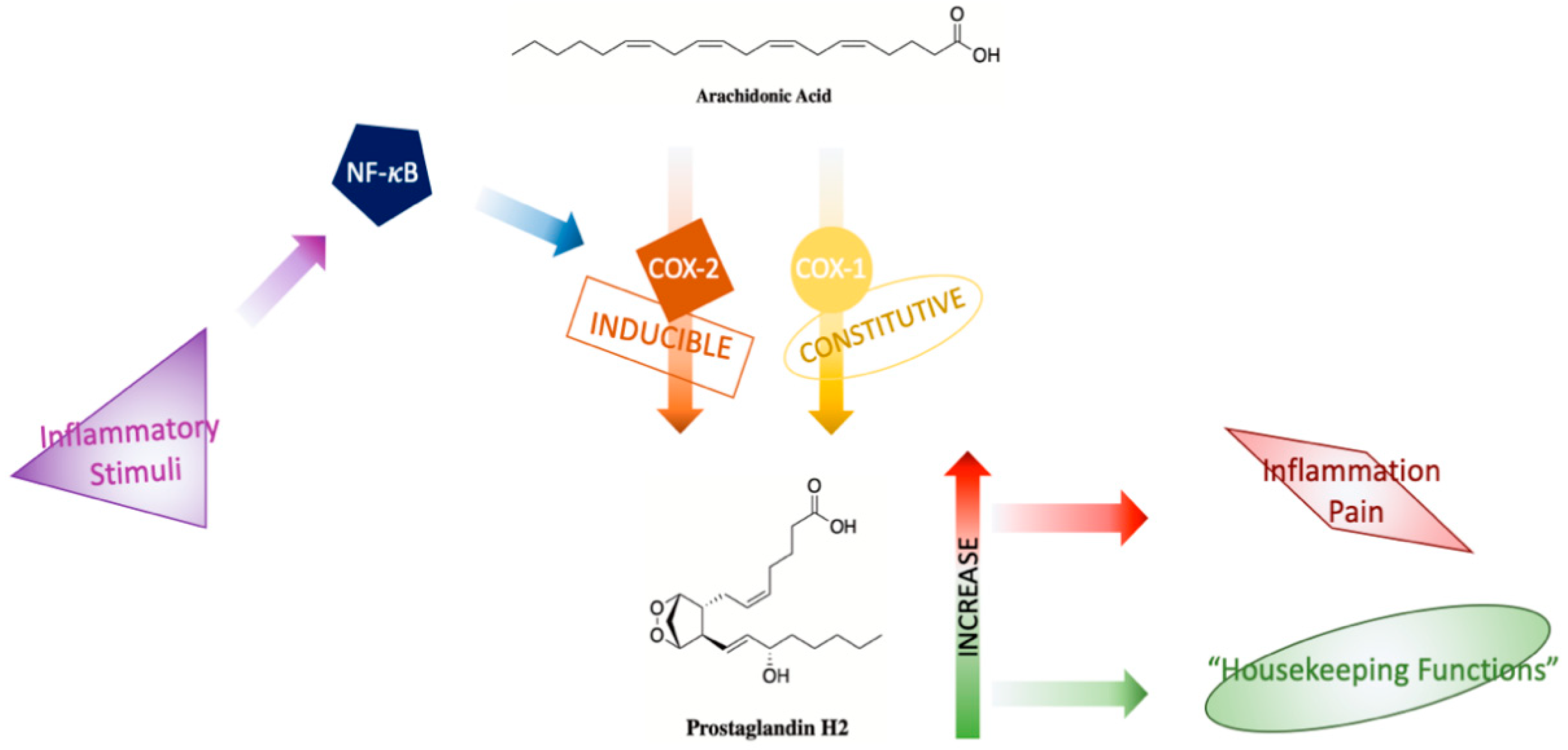 J 03 00016 g003 J 03 00016 g003