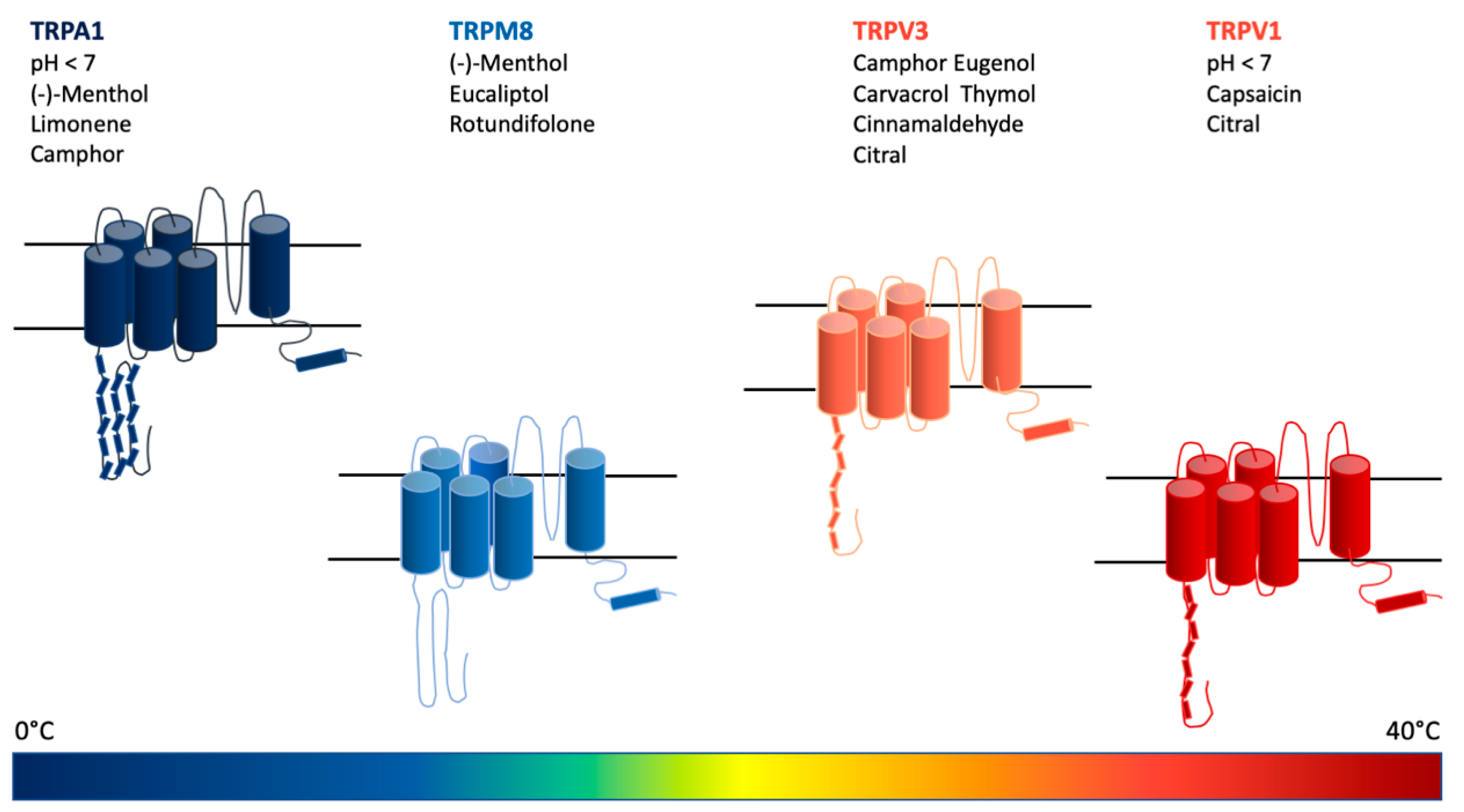 J 03 00016 g005 J 03 00016 g005