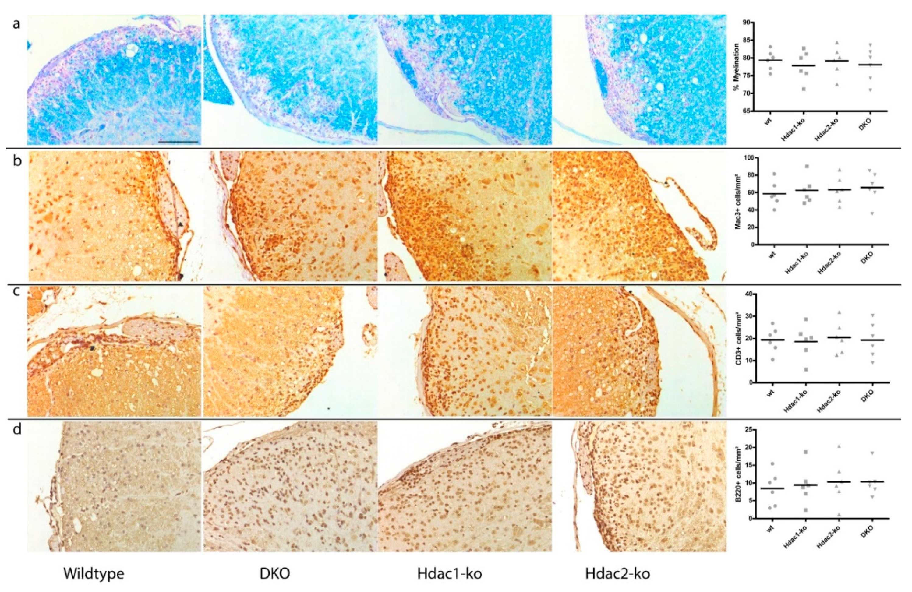 J 03 00028 g003 J 03 00028 g003