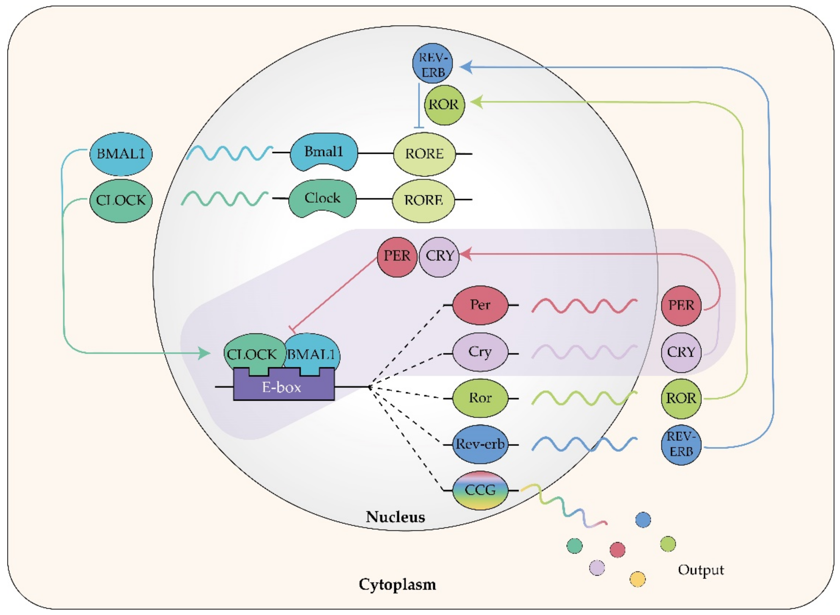 J 04 00005 g003 J 04 00005 g003