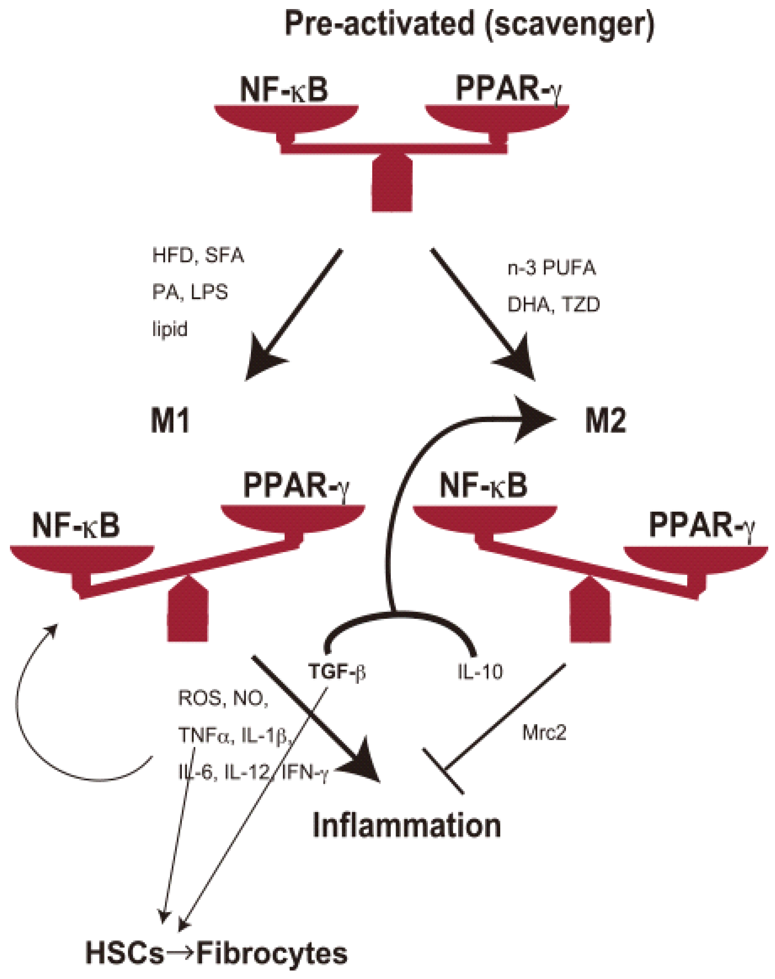 J 05 00036 g001 J 05 00036 g001