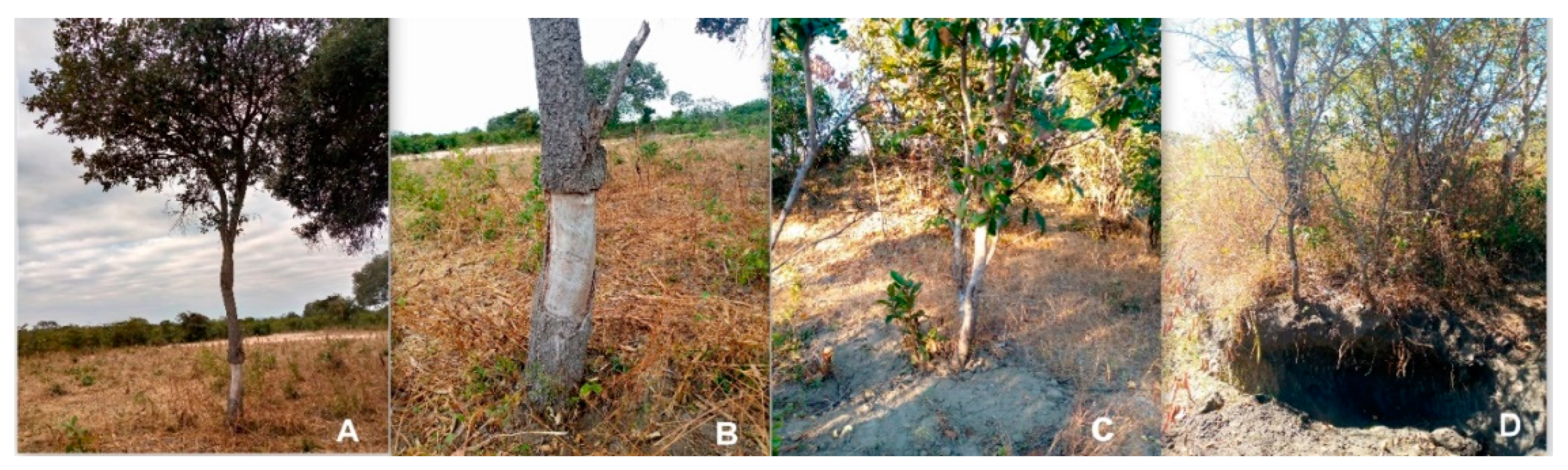 J 06 00009 g005 J 06 00009 g005