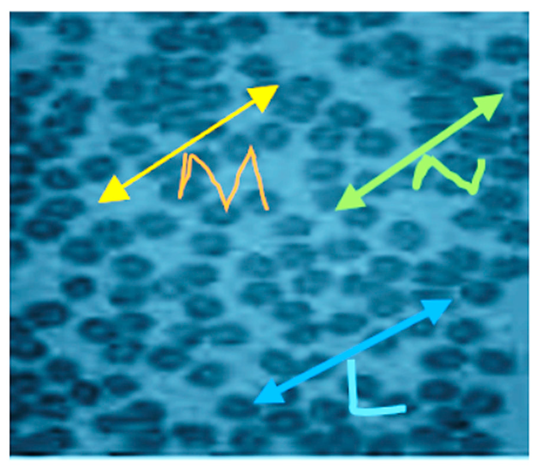 J 06 00013 g003 J 06 00013 g003