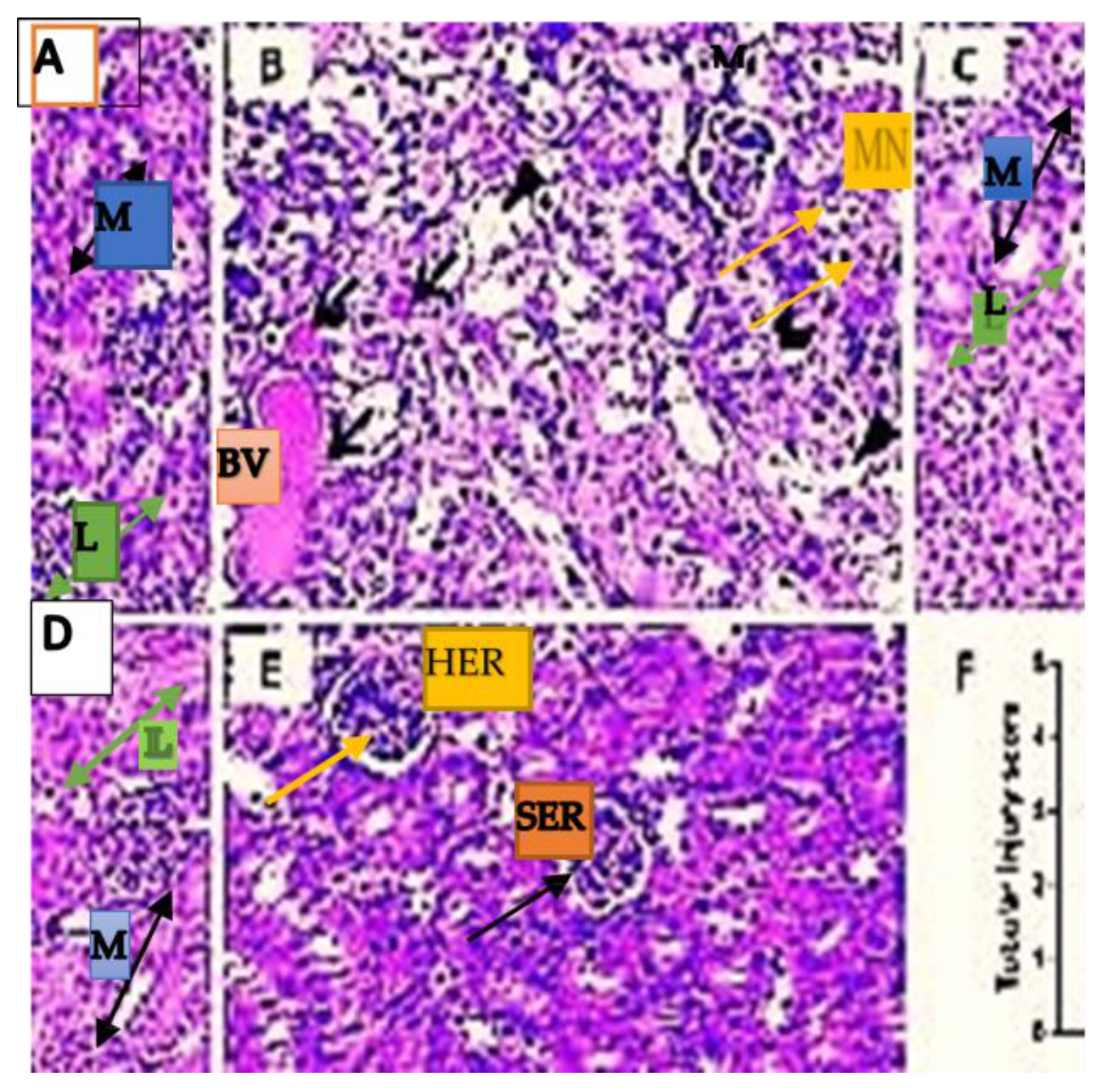 J 06 00013 g004 J 06 00013 g004