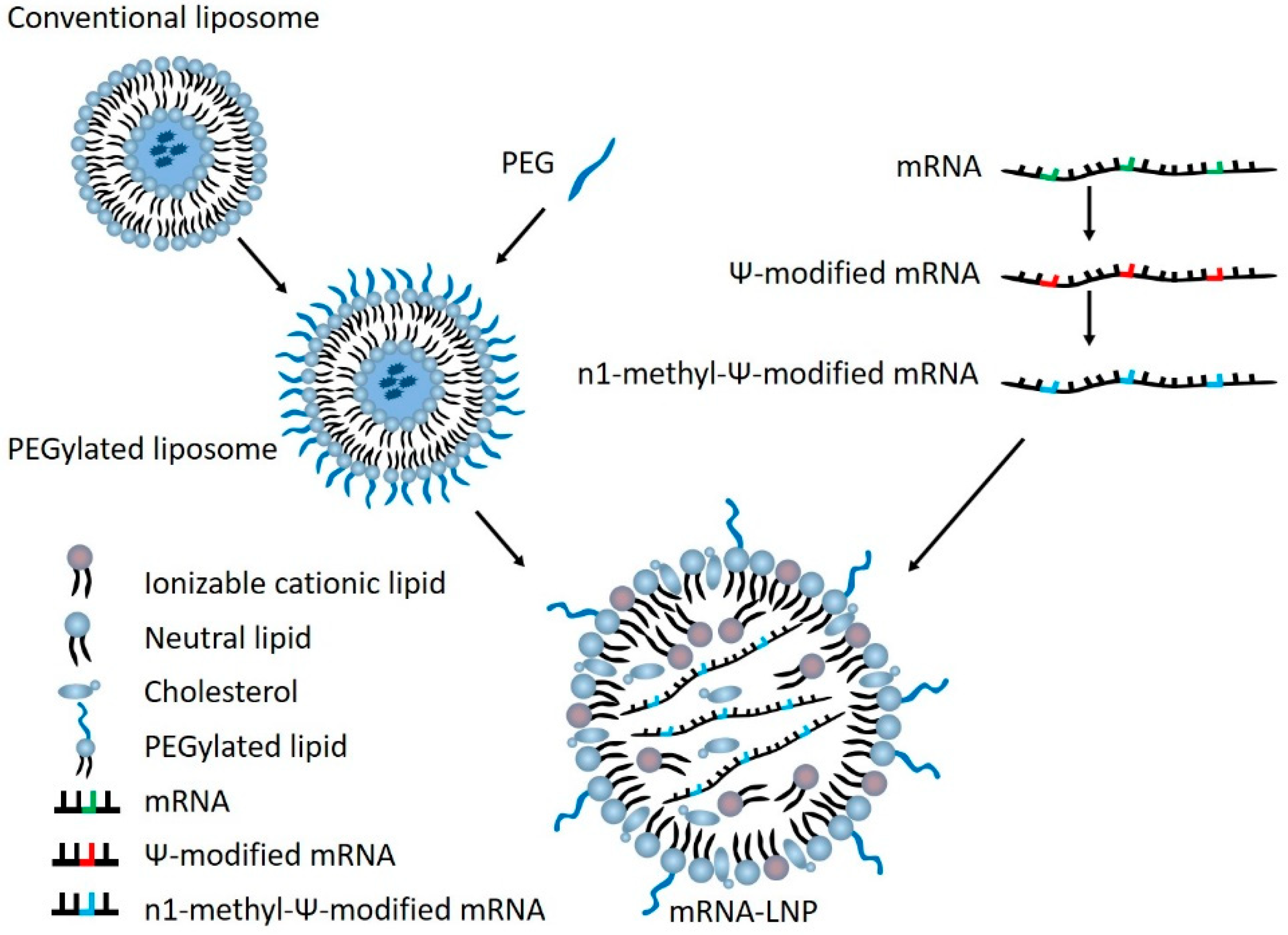 J 06 00017 g001 J 06 00017 g001