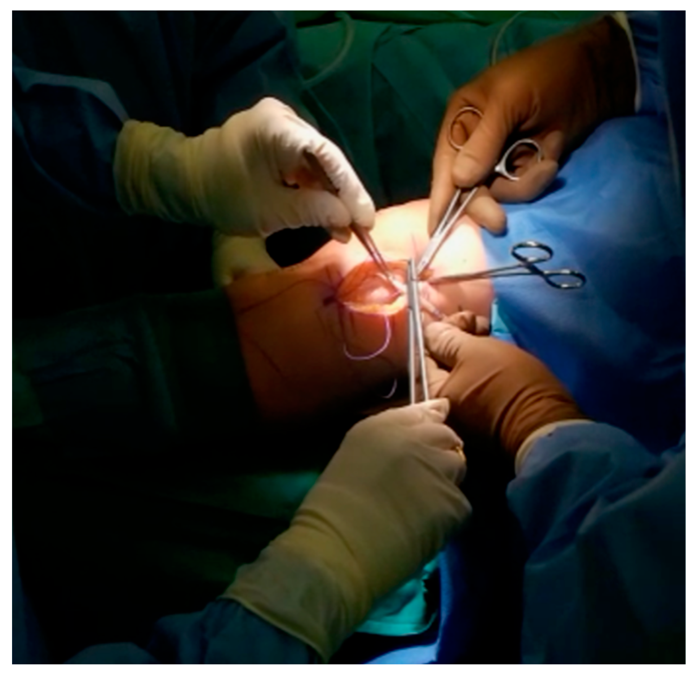 J 07 00005 g004 J 07 00005 g004