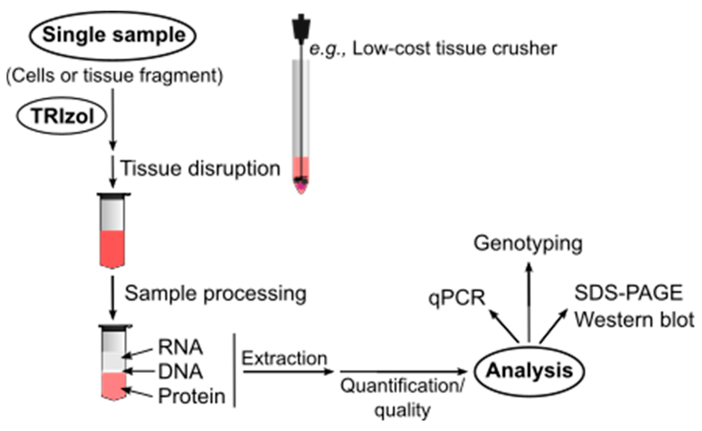 J 08 00003 g001 J 08 00003 g001