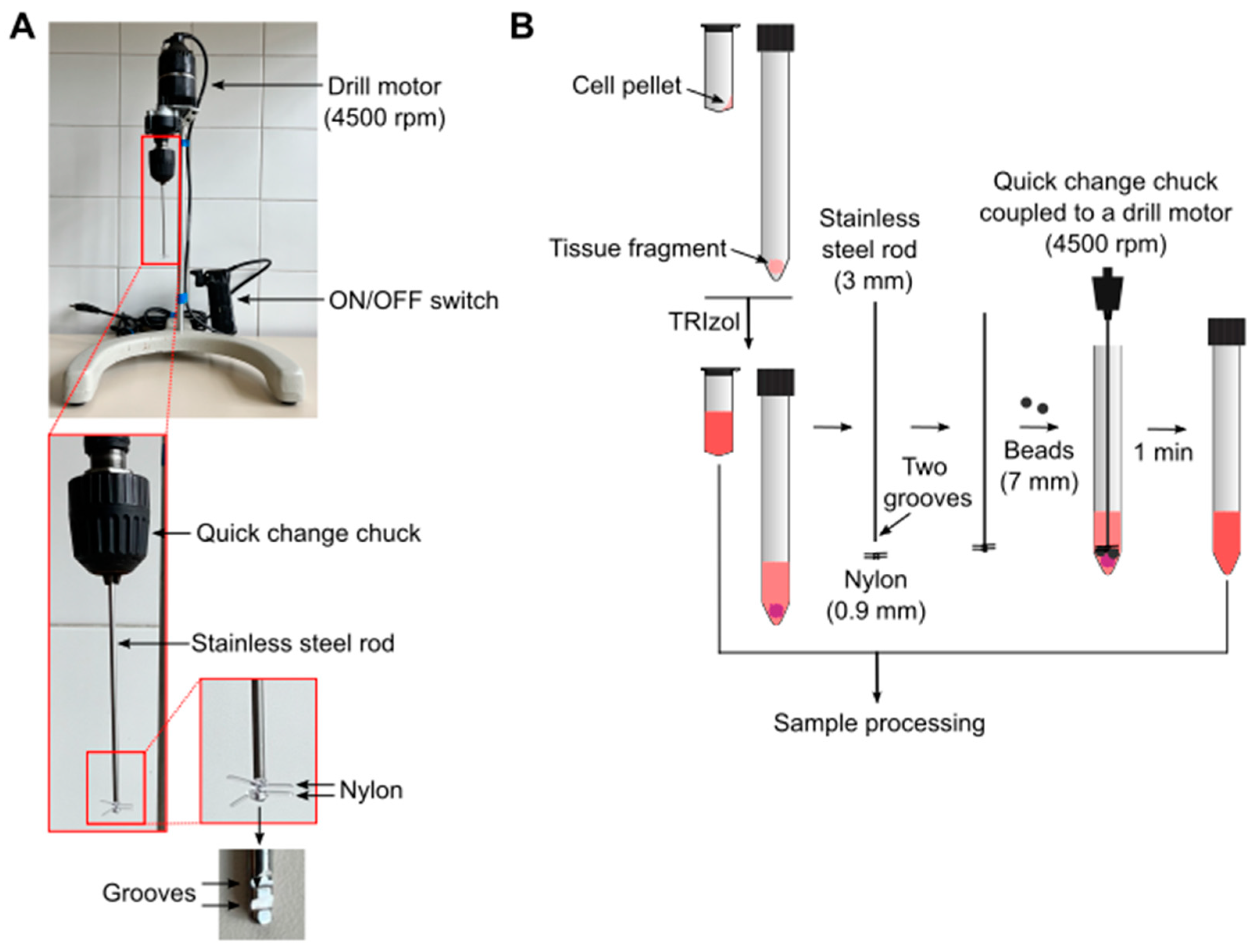 J 08 00003 g002 J 08 00003 g002