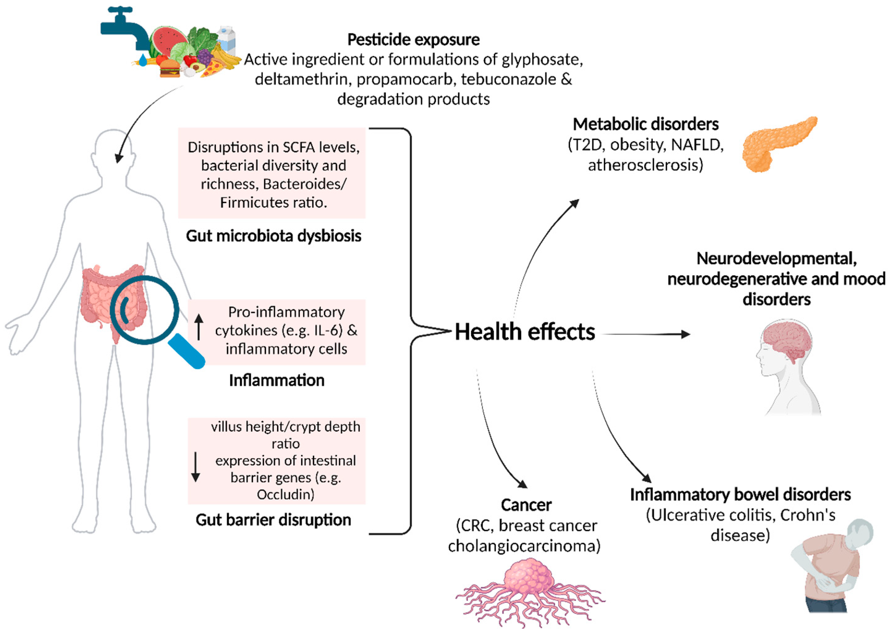 J 08 00036 g001 J 08 00036 g001