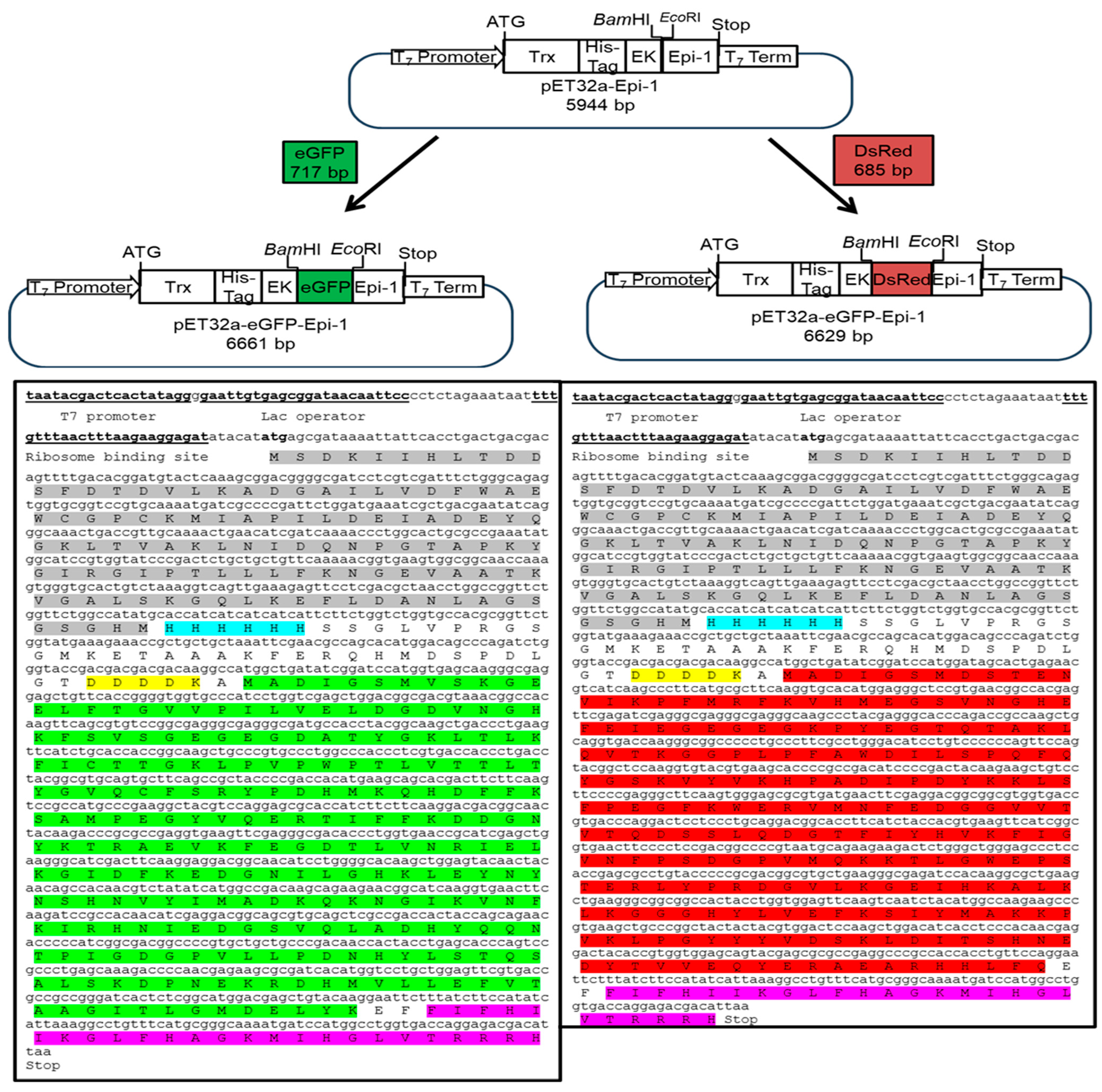 J 08 00042 g001 J 08 00042 g001