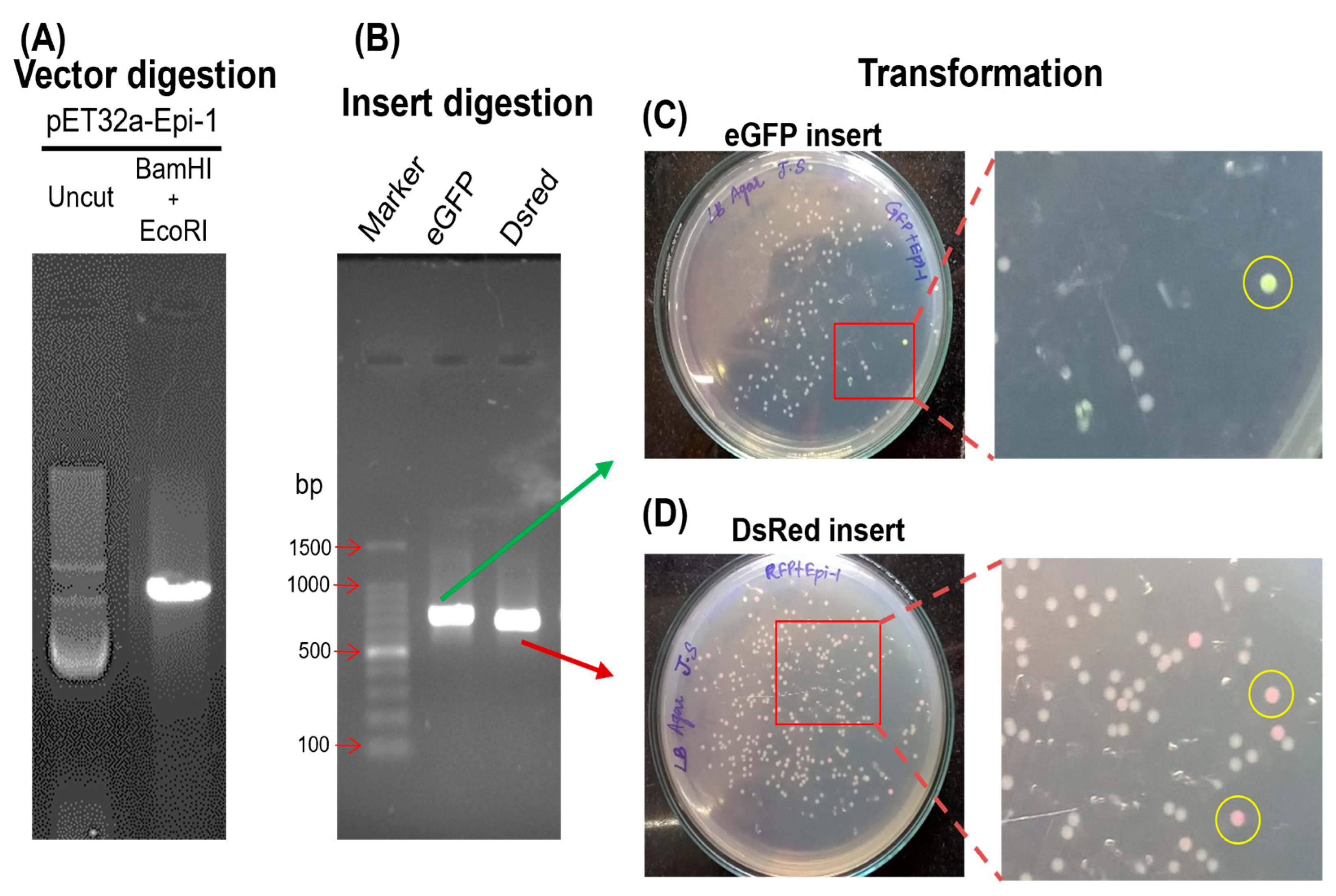 J 08 00042 g002 J 08 00042 g002