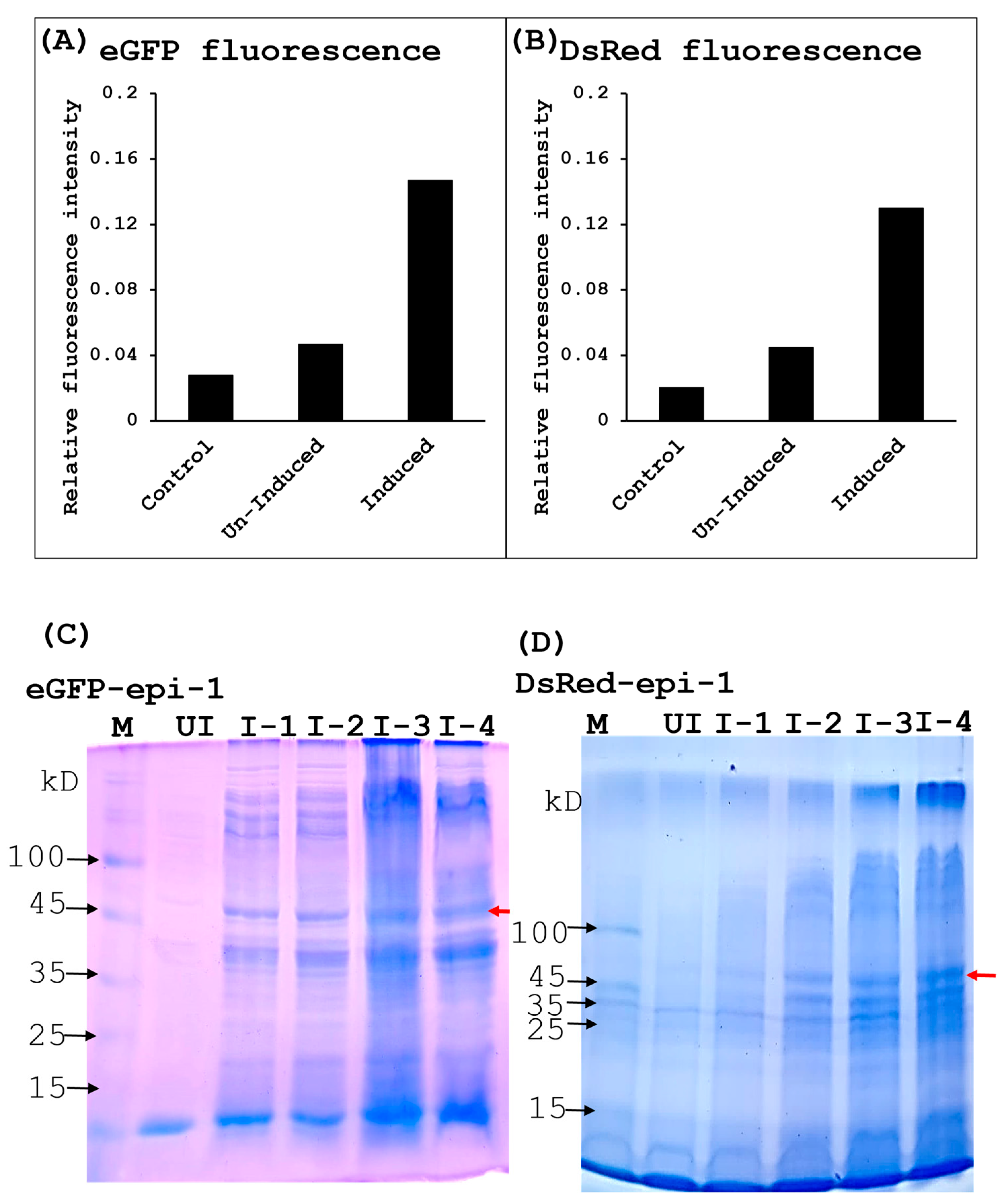 J 08 00042 g004 J 08 00042 g004