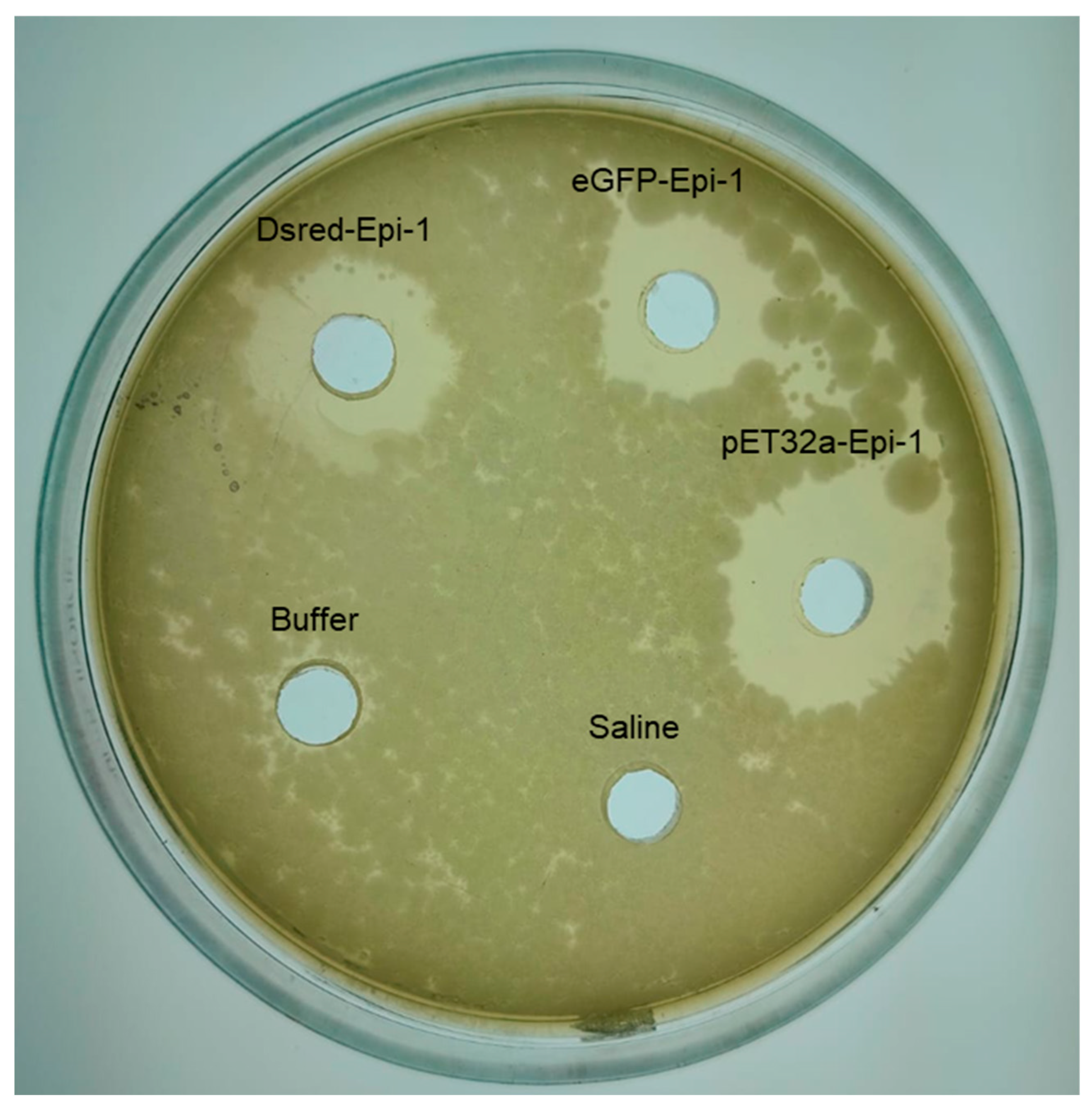 J 08 00042 g005 J 08 00042 g005