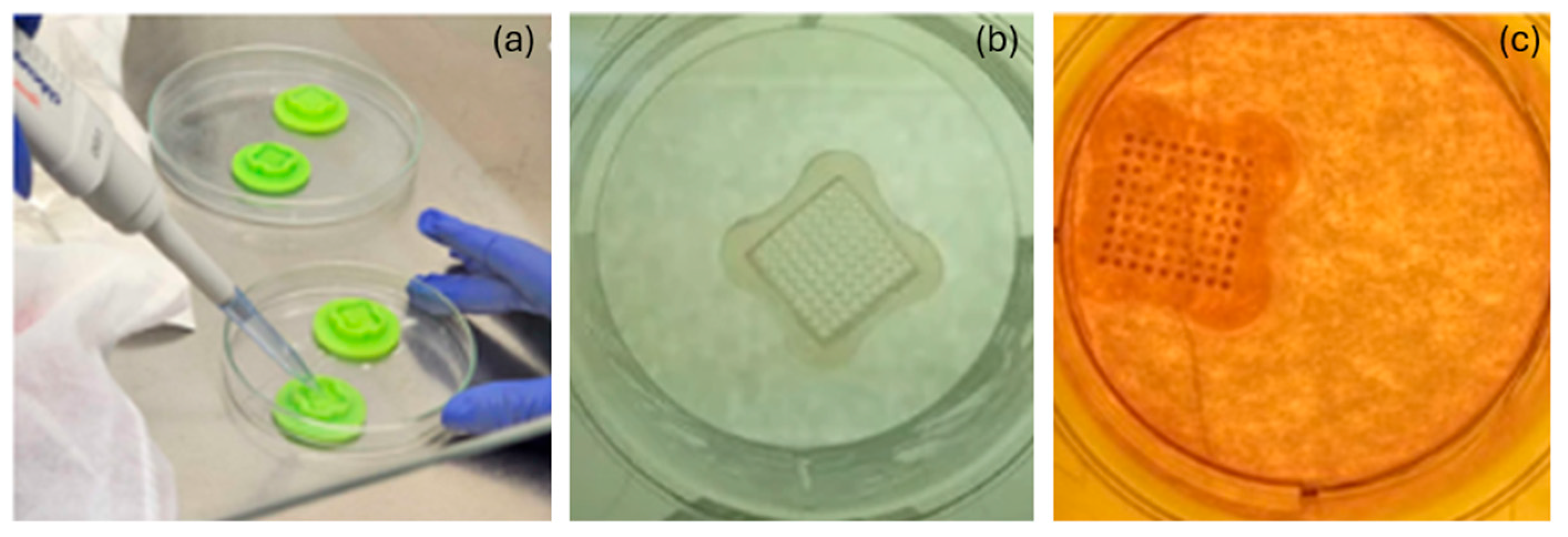 J 08 00043 g001 J 08 00043 g001