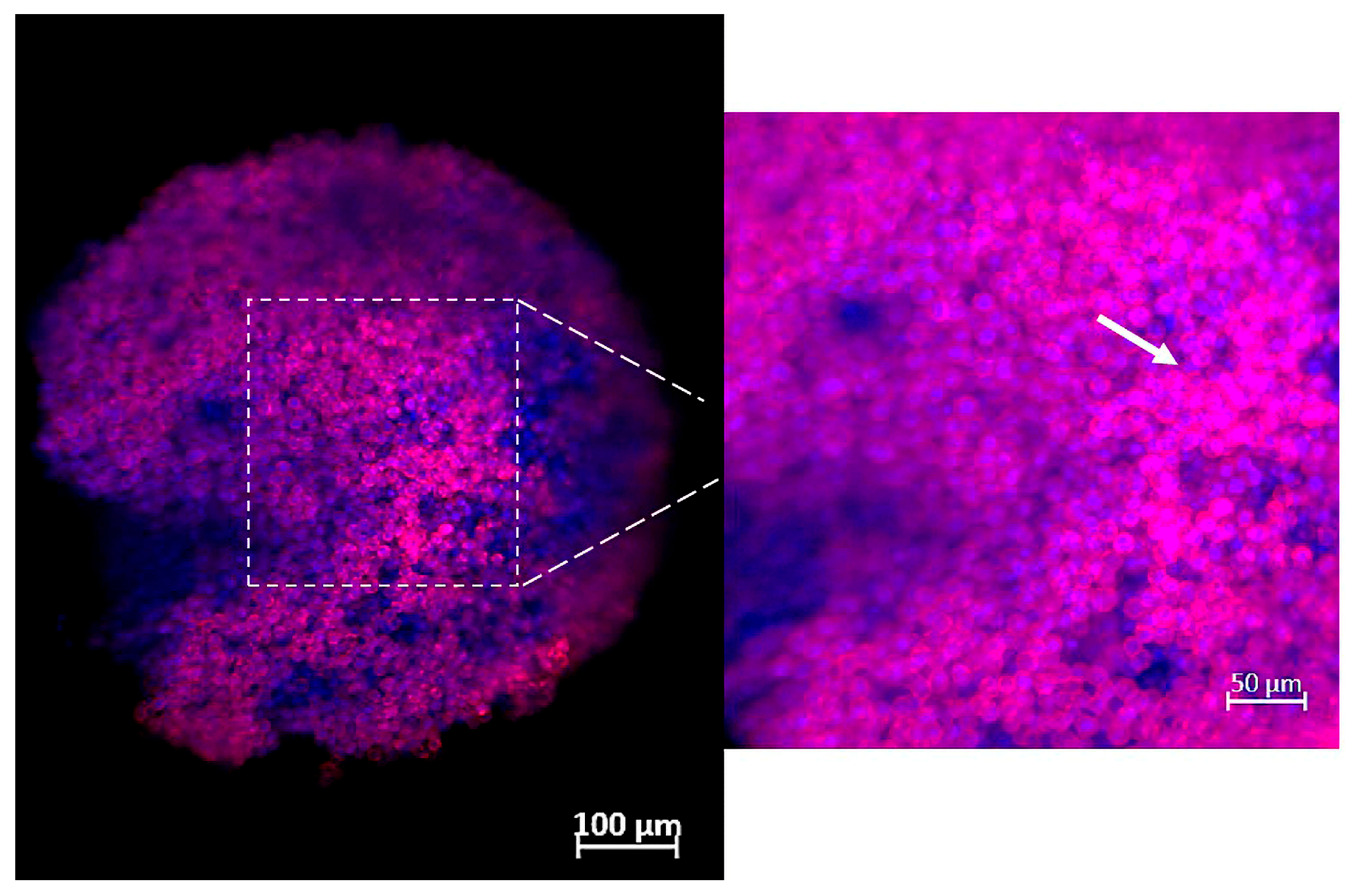 J 08 00043 g004 J 08 00043 g004