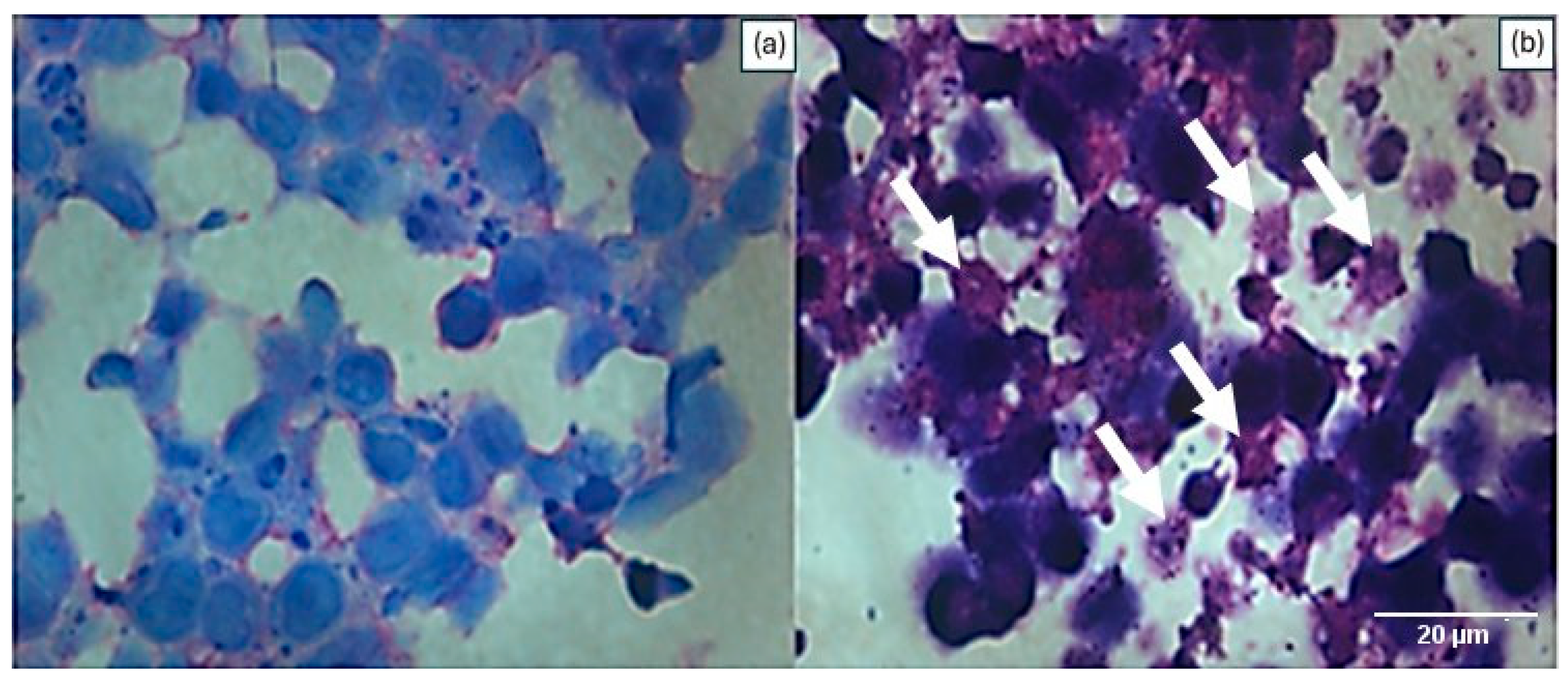 J 08 00043 g006 J 08 00043 g006