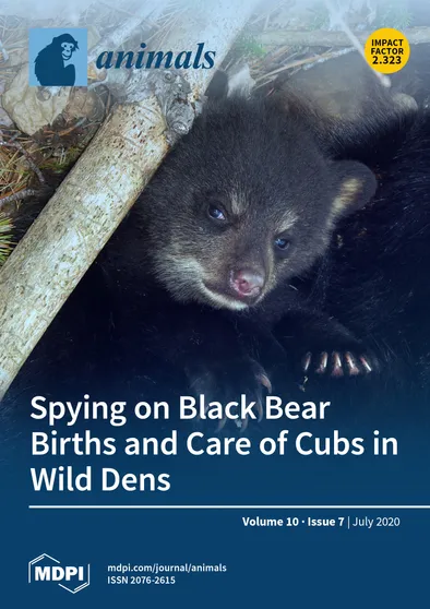 Journal Issue Cover Image