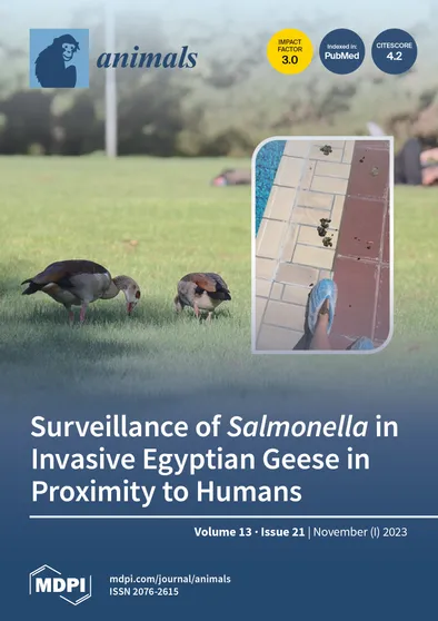 Journal Issue Cover Image