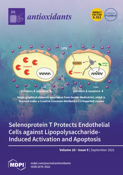 Journal Issue Cover Image