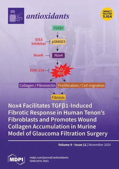 Journal Issue Cover Image