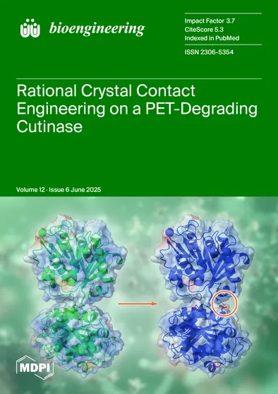 Journal Issue Cover Image