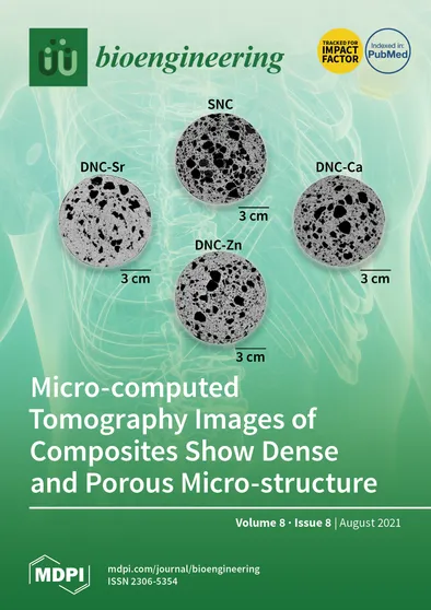 Journal Issue Cover Image