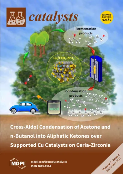 Journal Issue Cover Image