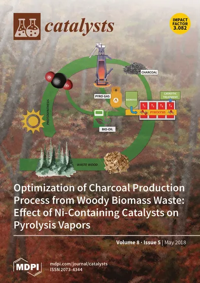 Journal Issue Cover Image