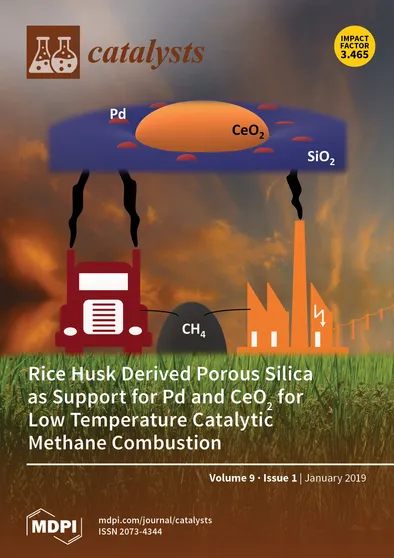 Journal Issue Cover Image