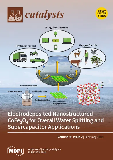 Journal Issue Cover Image